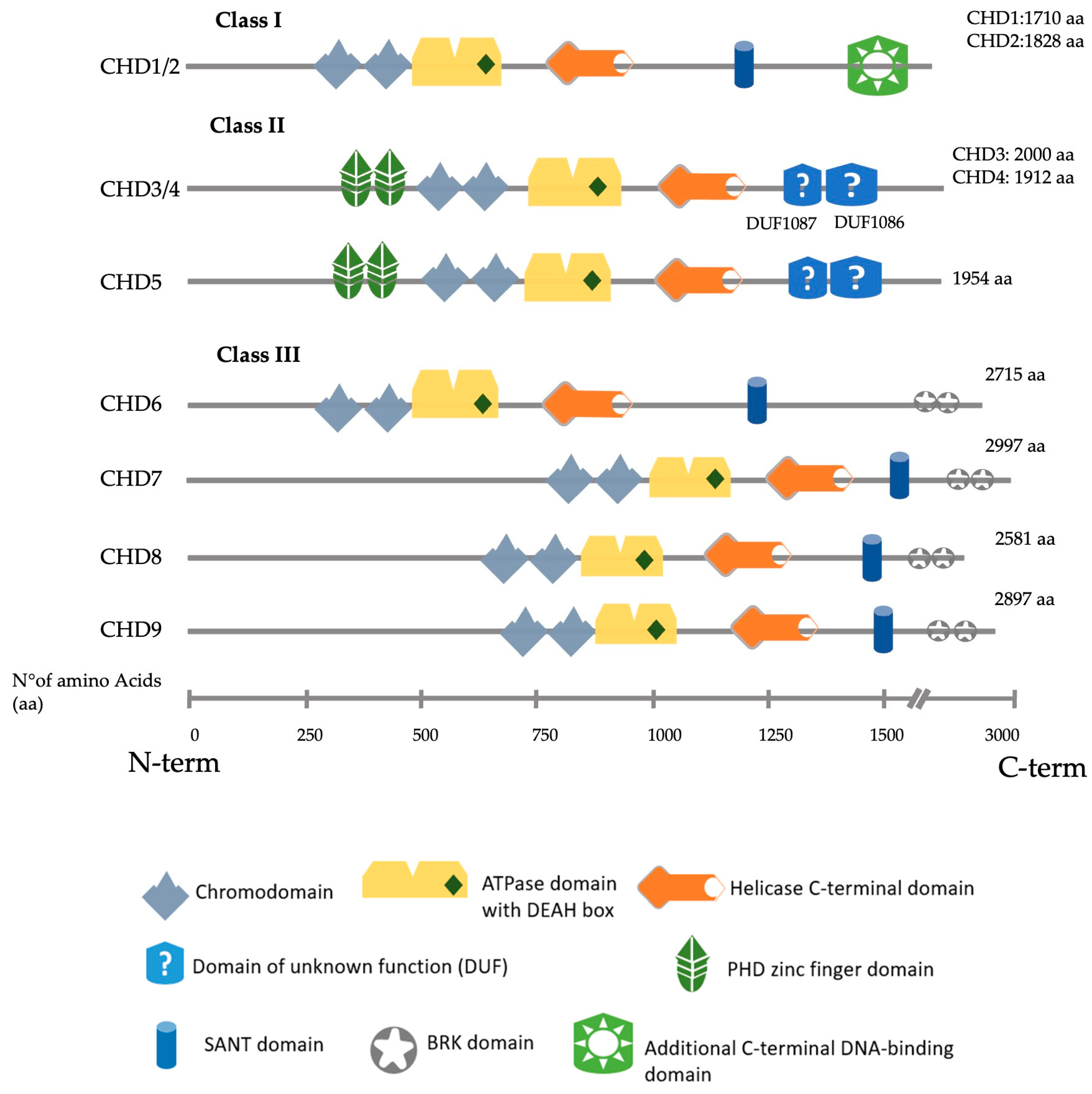 Cells 12 00532 g001 Cells 12 00532 g001