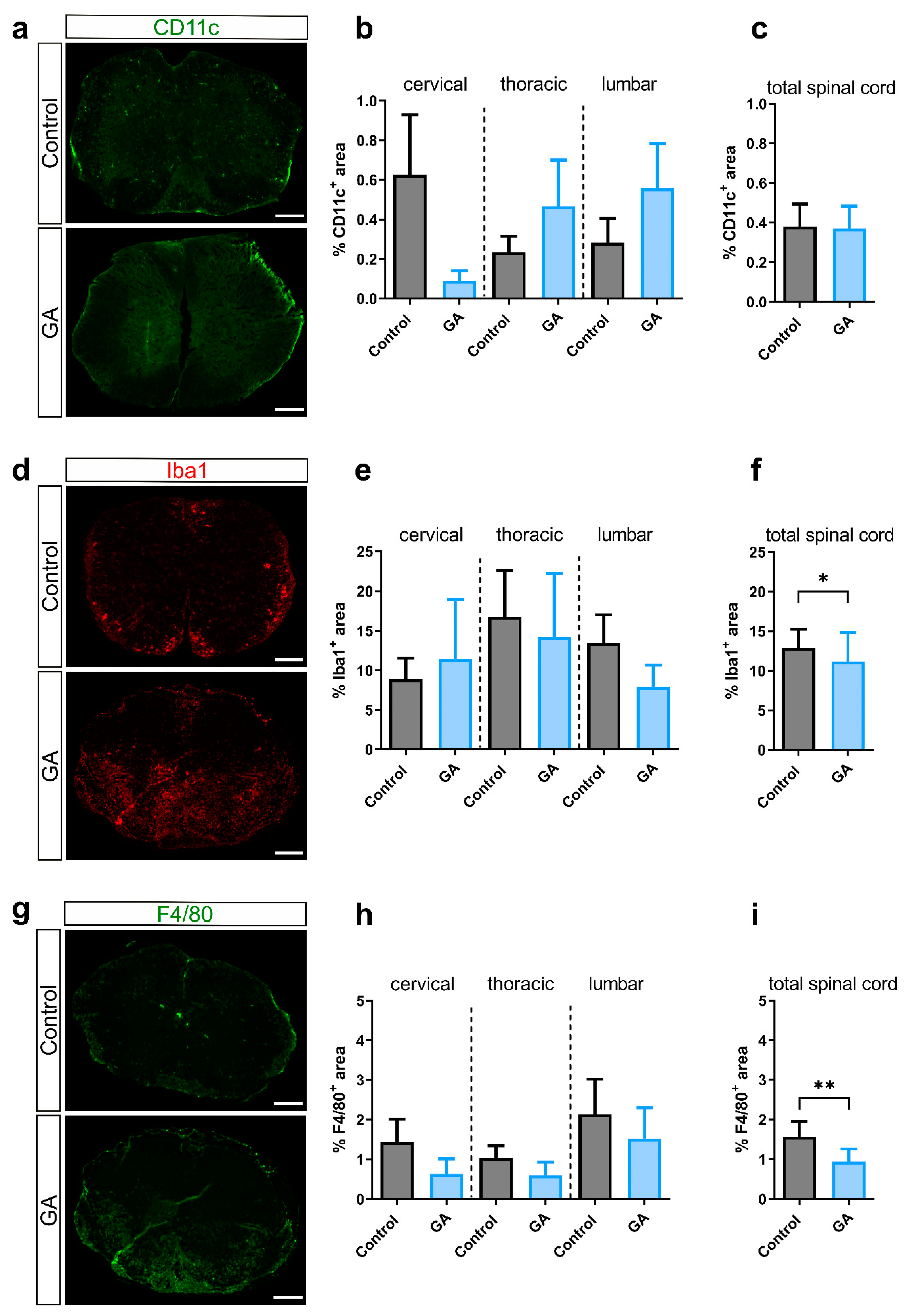 Cells 12 00542 g003 Cells 12 00542 g003