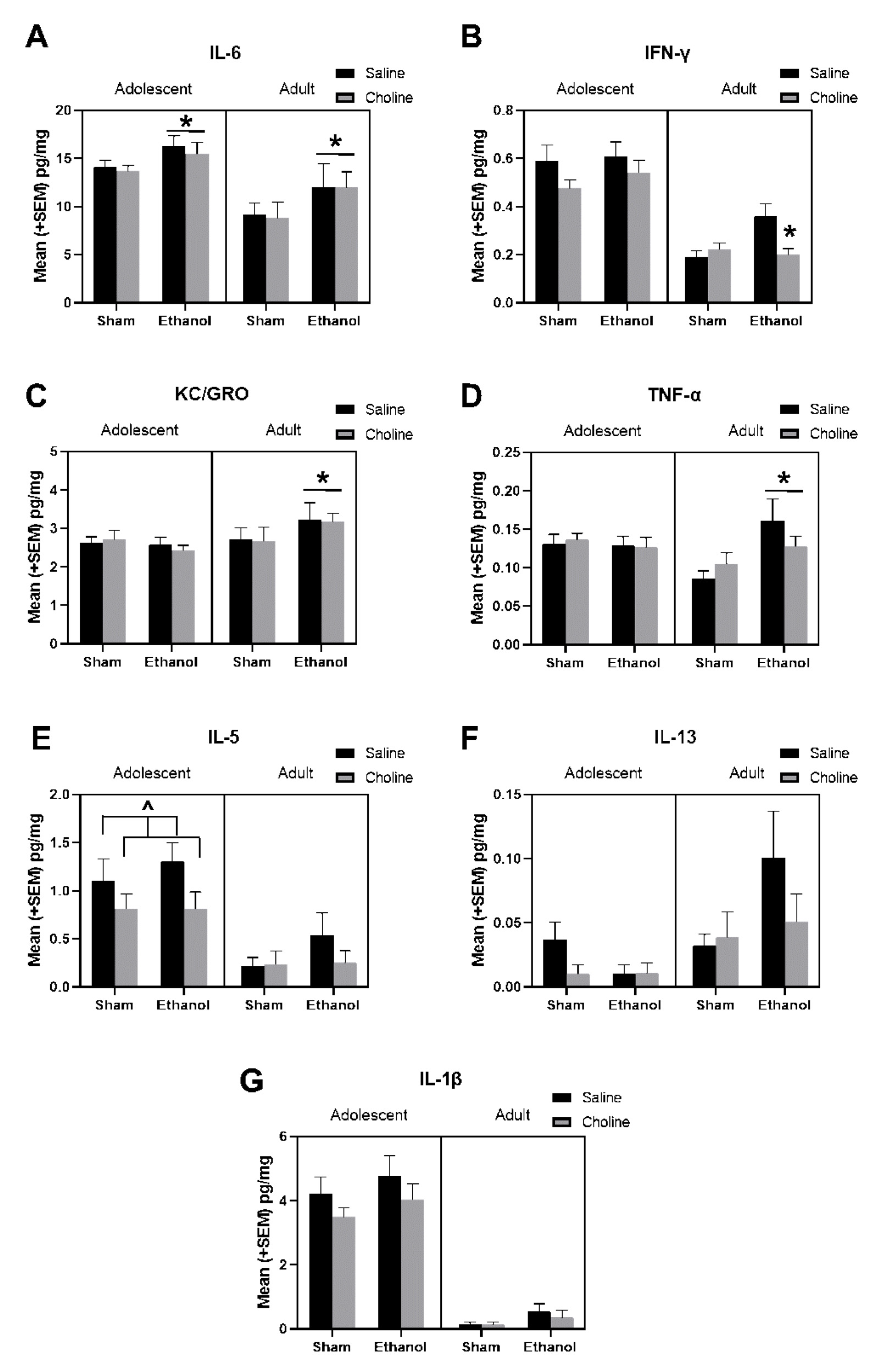 Cells 12 00546 g005 Cells 12 00546 g005
