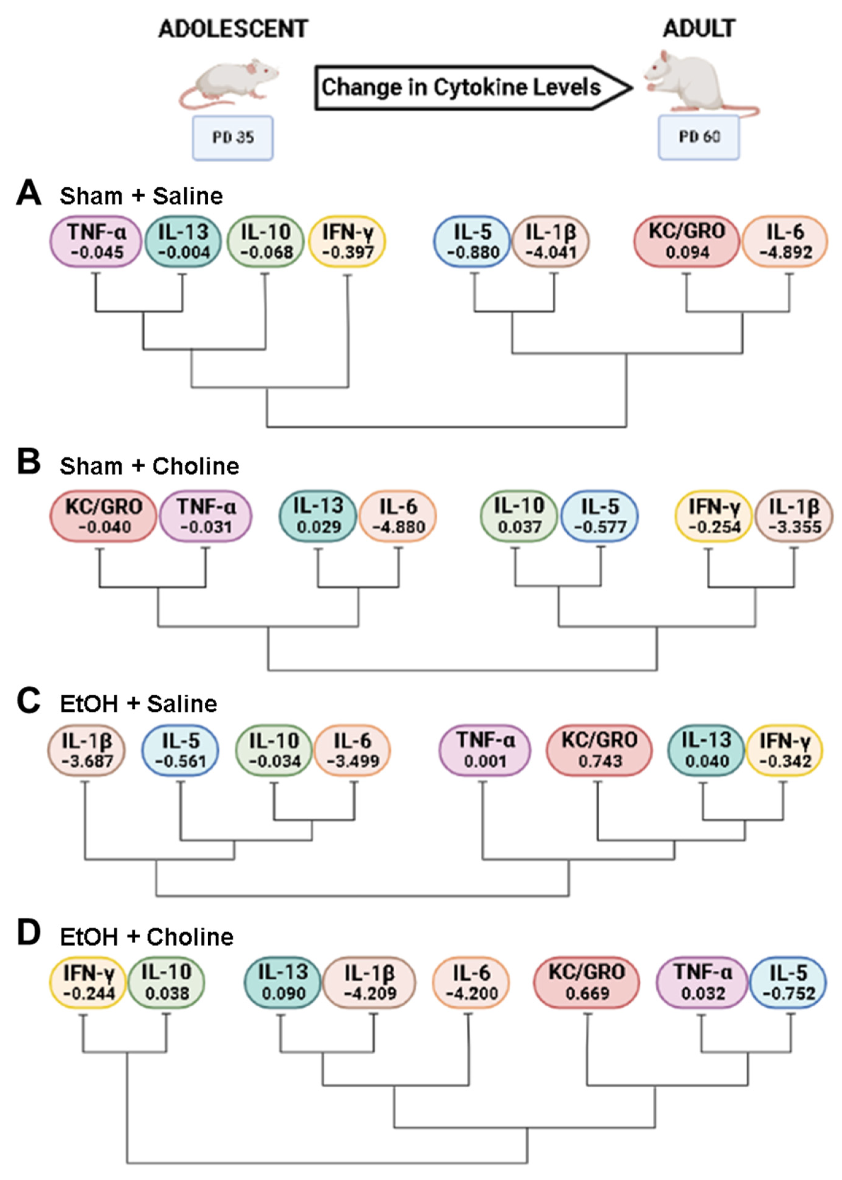 Cells 12 00546 g007 Cells 12 00546 g007