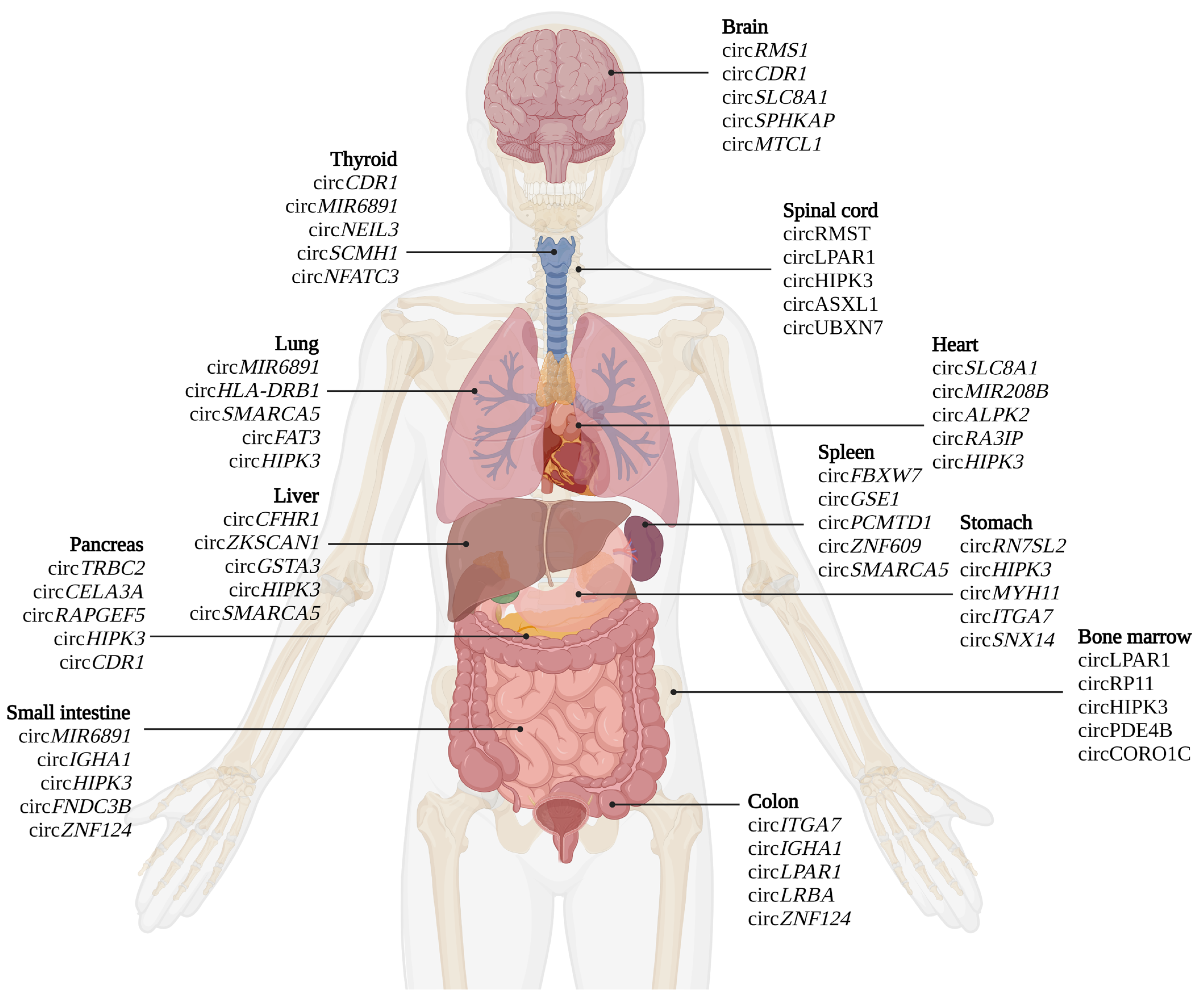 Cells 12 00552 g002 Cells 12 00552 g002