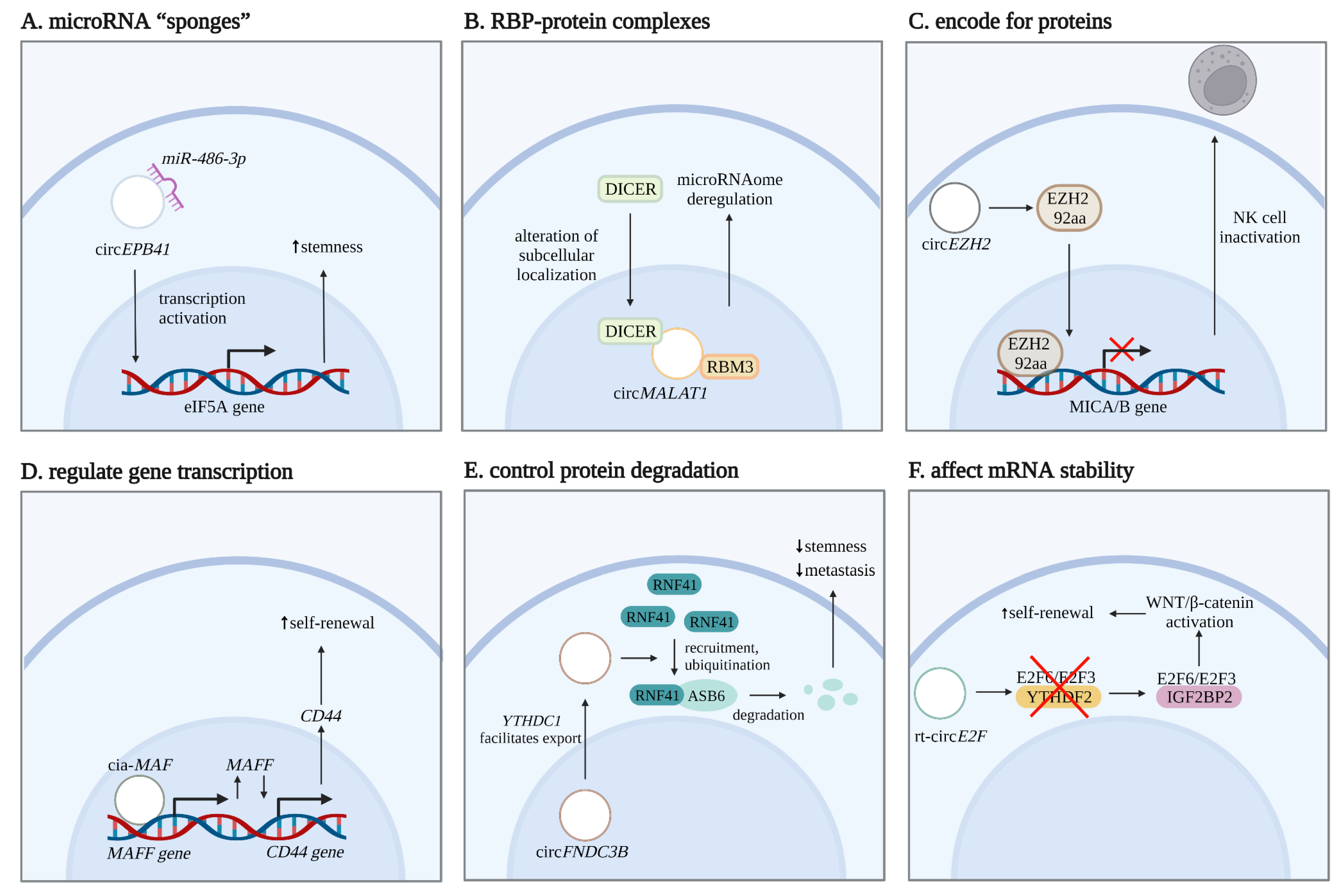 Cells 12 00552 g005 Cells 12 00552 g005