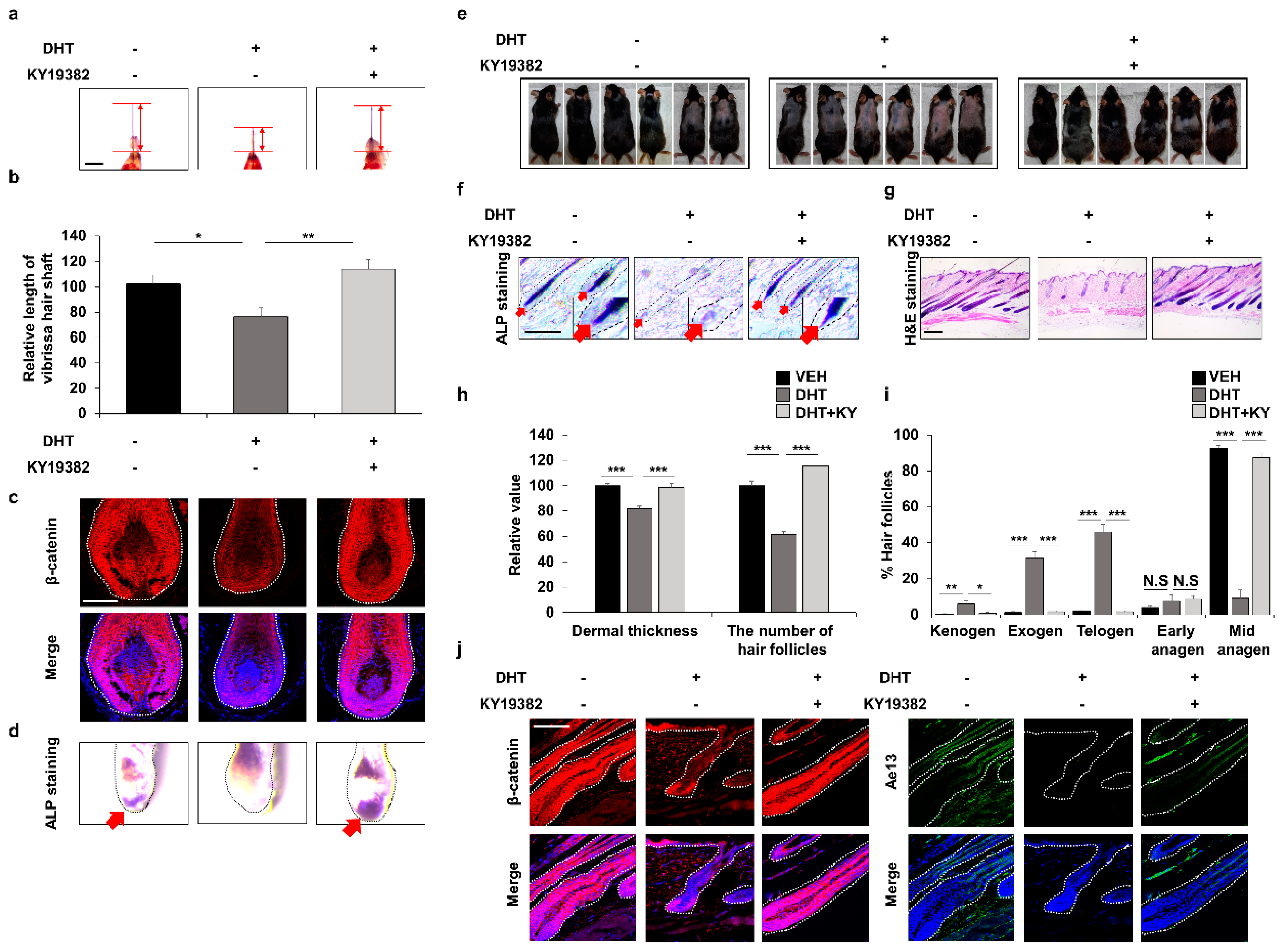 Cells 12 00555 g005 Cells 12 00555 g005