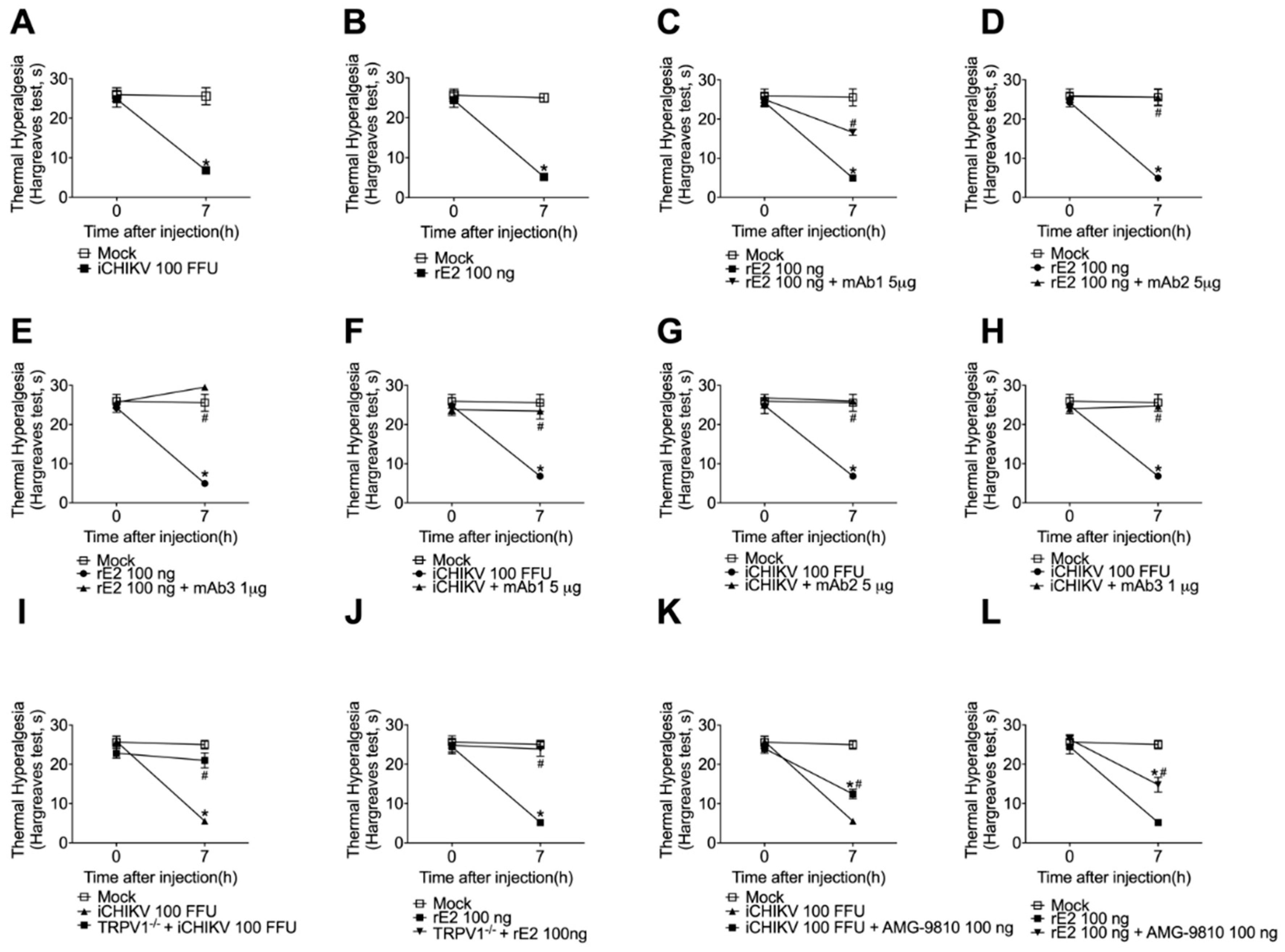 Cells 12 00556 g006 Cells 12 00556 g006