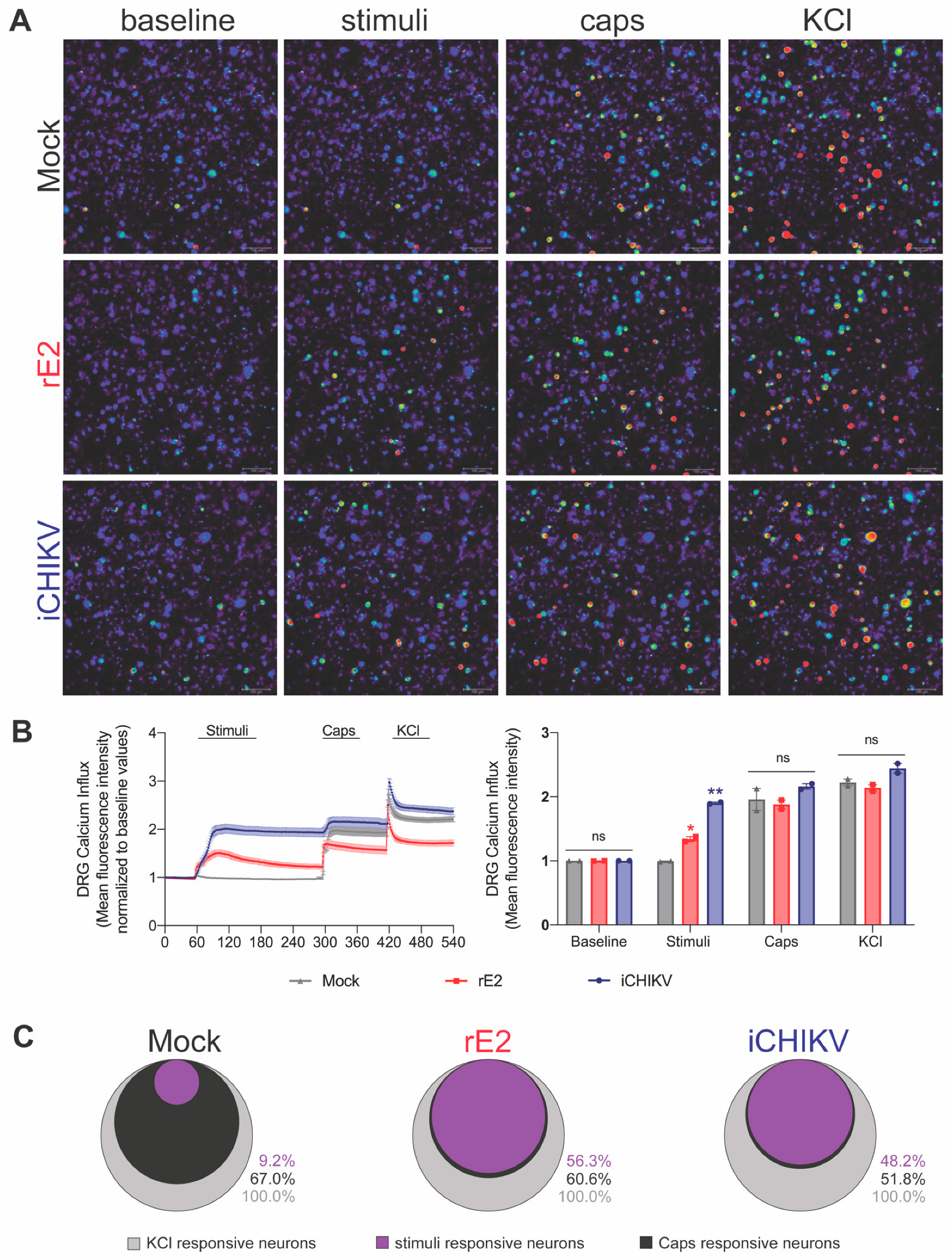 Cells 12 00556 g007 Cells 12 00556 g007