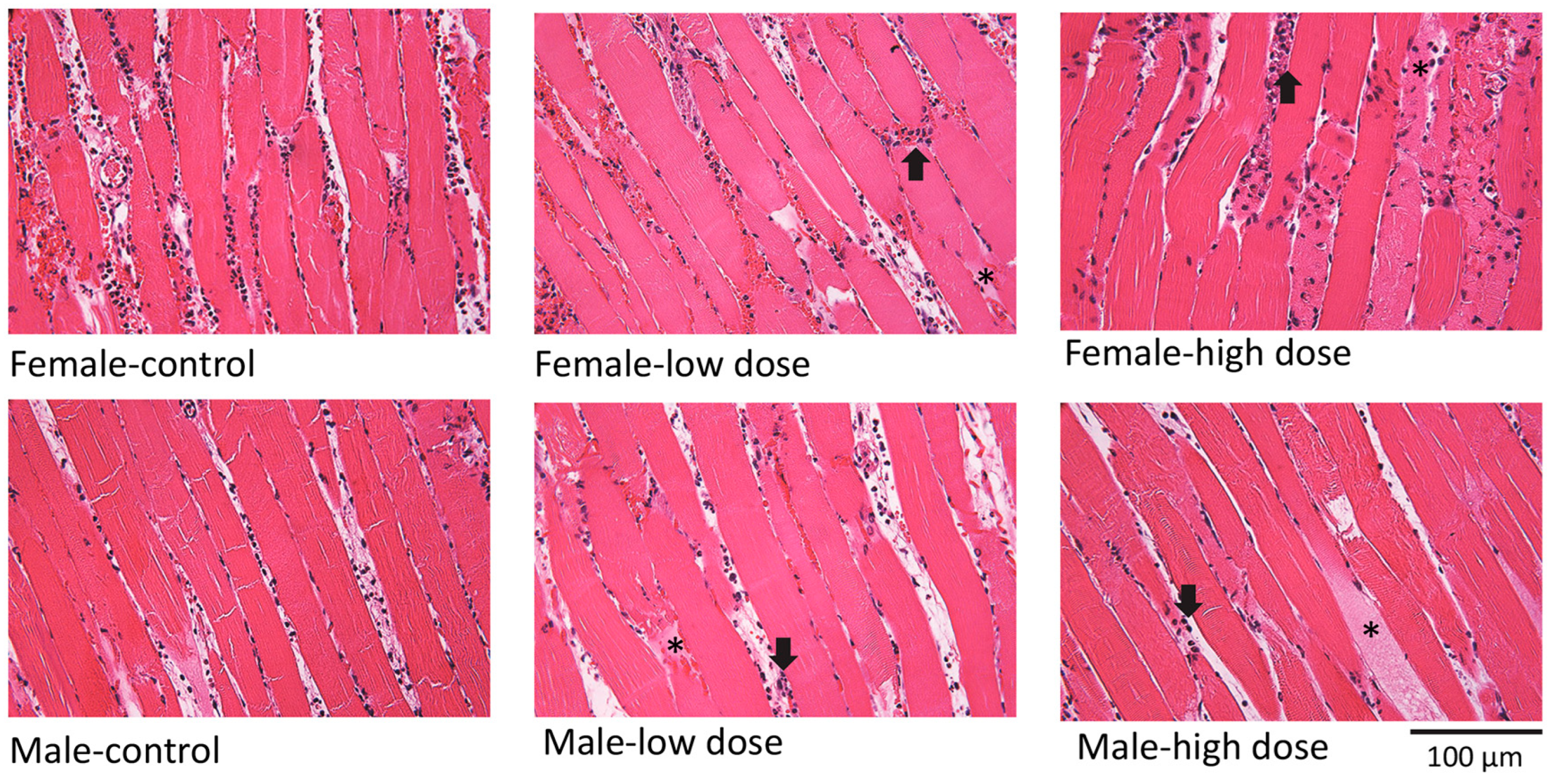 Cells 12 00557 g002 Cells 12 00557 g002