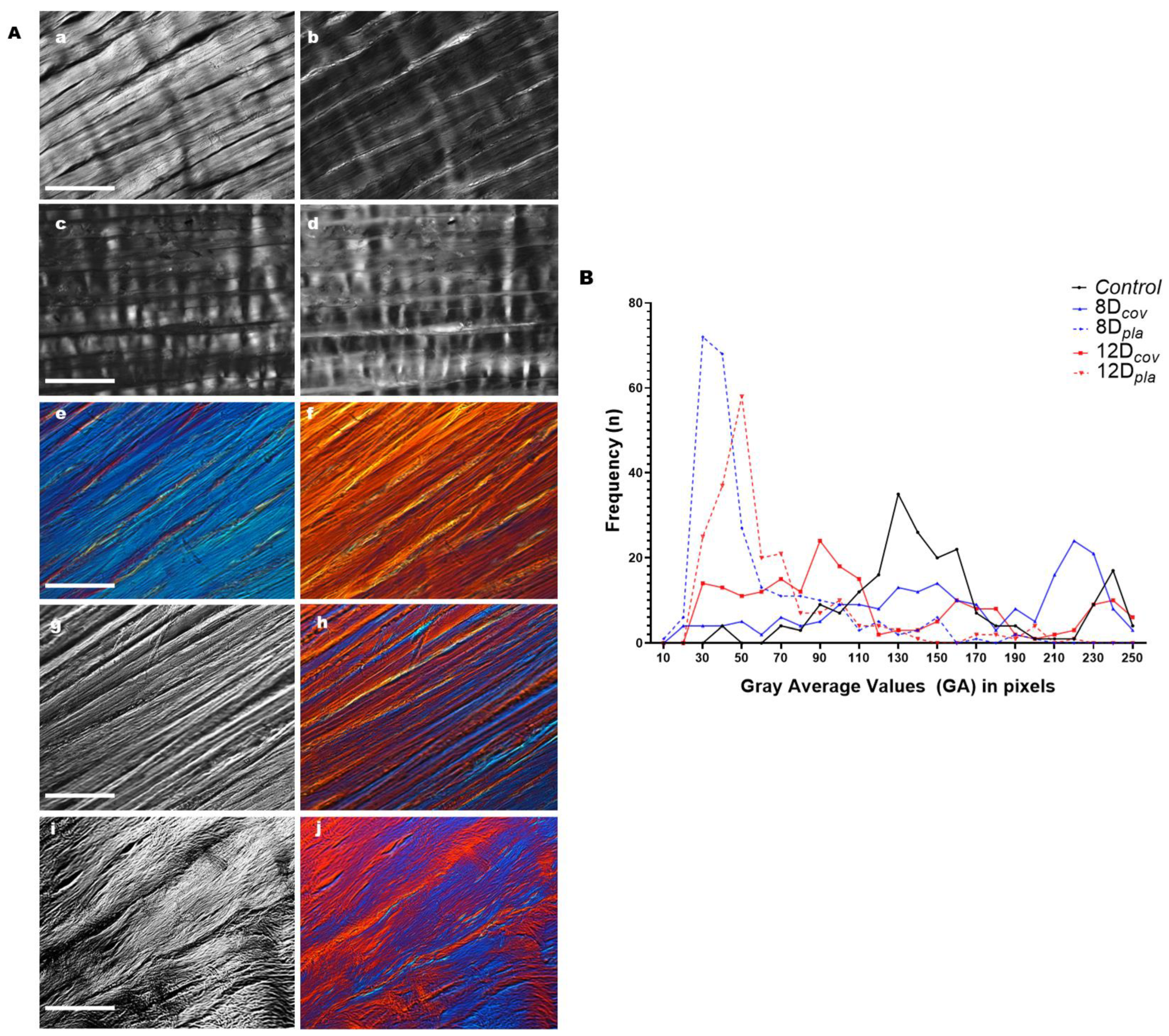 Cells 12 00566 g001 Cells 12 00566 g001