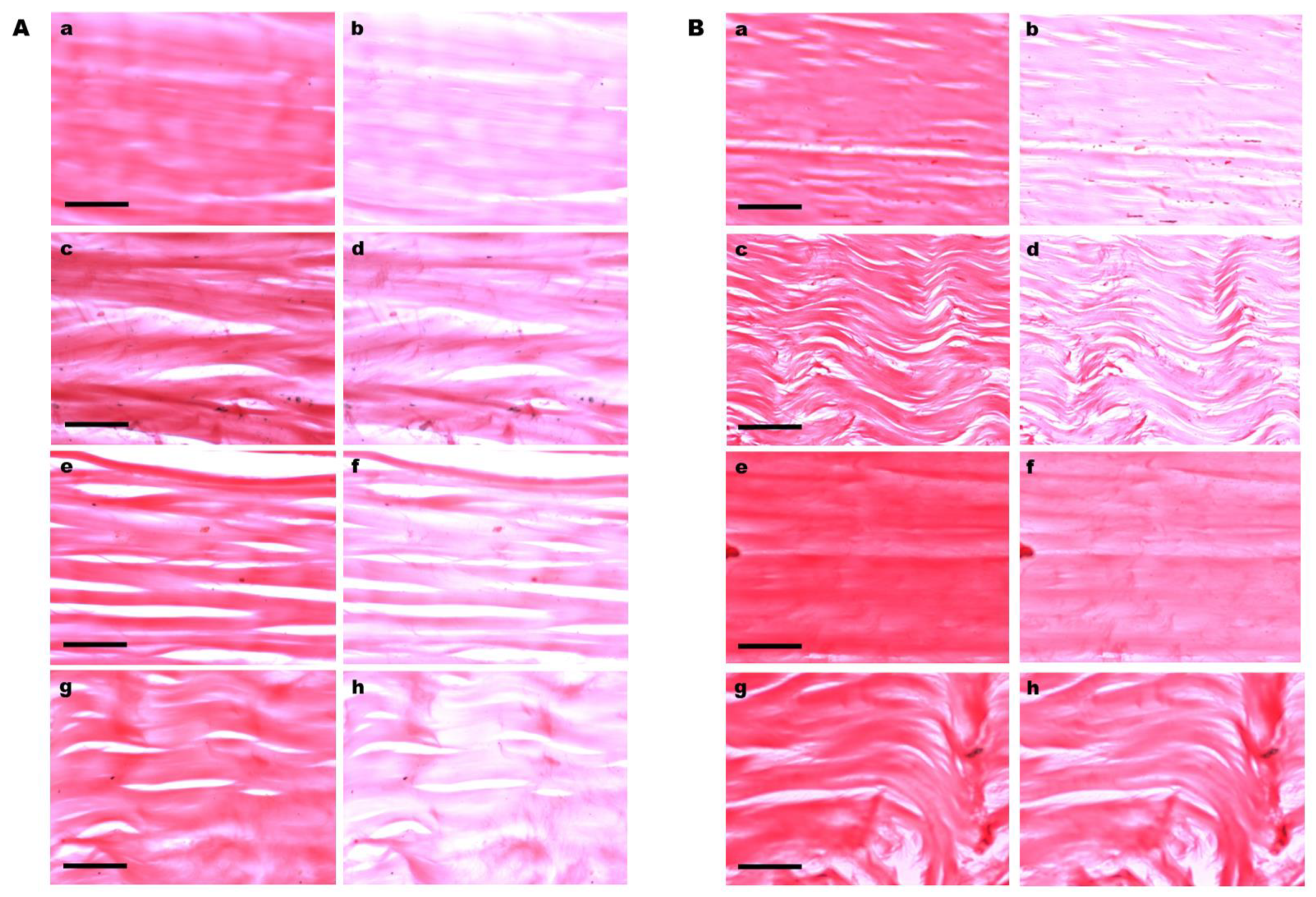 Cells 12 00566 g002 Cells 12 00566 g002