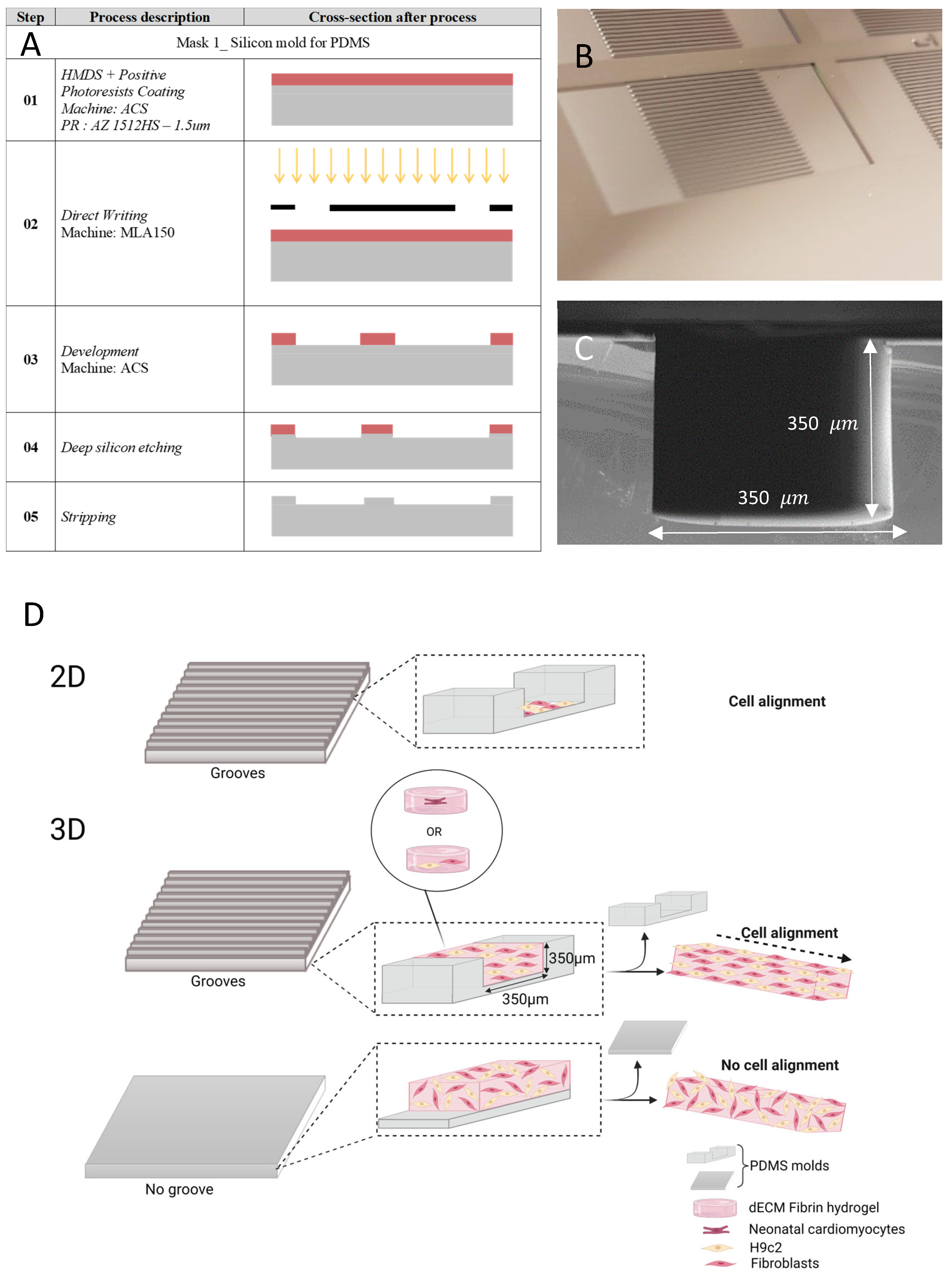 Cells 12 00576 g001 Cells 12 00576 g001