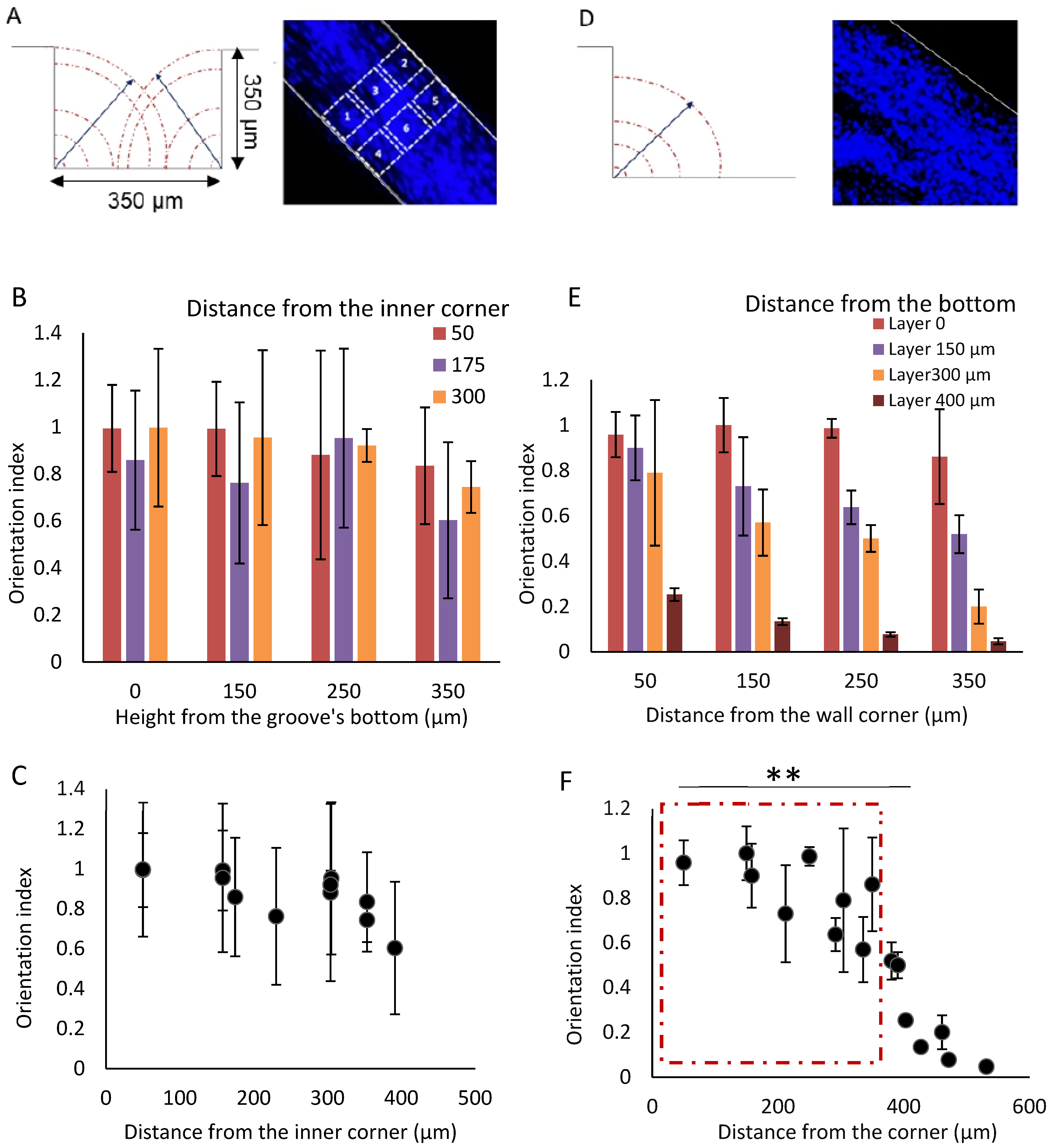 Cells 12 00576 g003 Cells 12 00576 g003