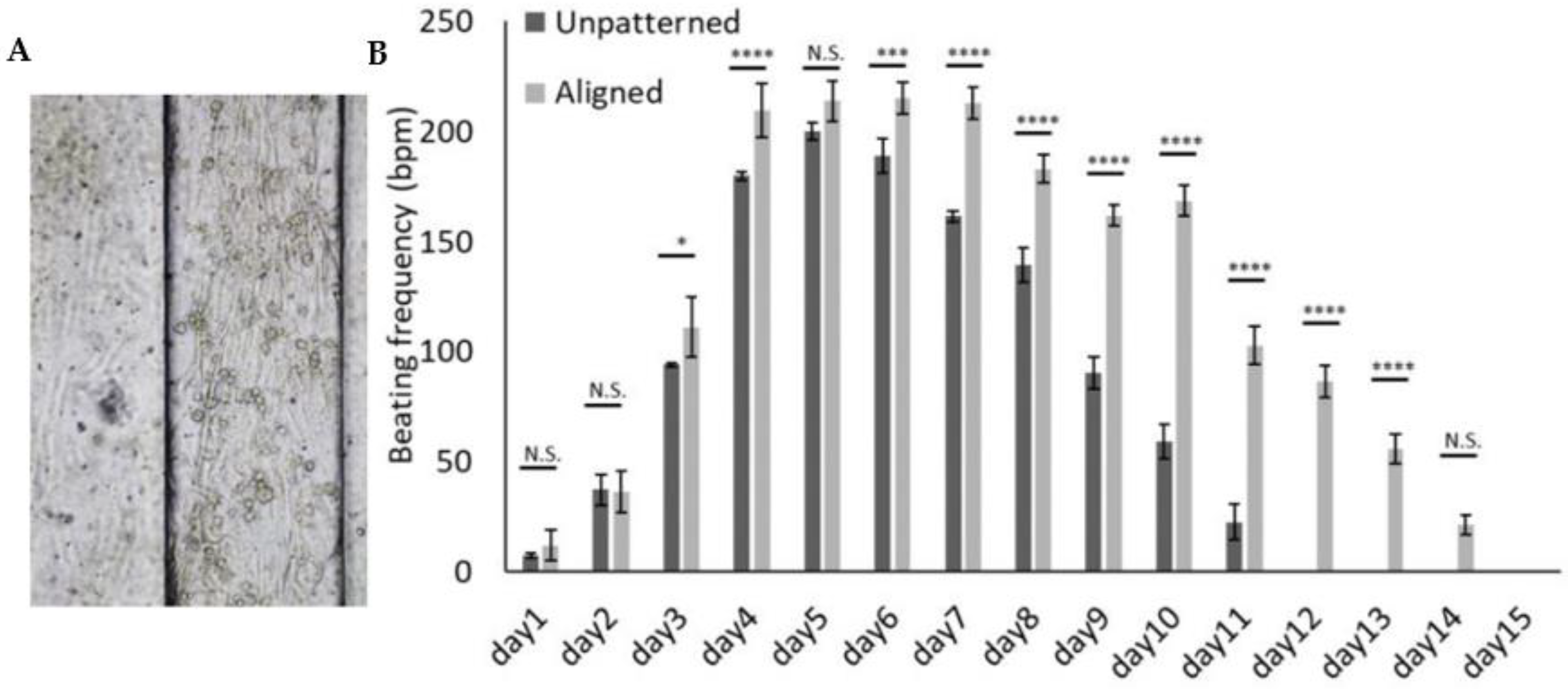 Cells 12 00576 g004 Cells 12 00576 g004