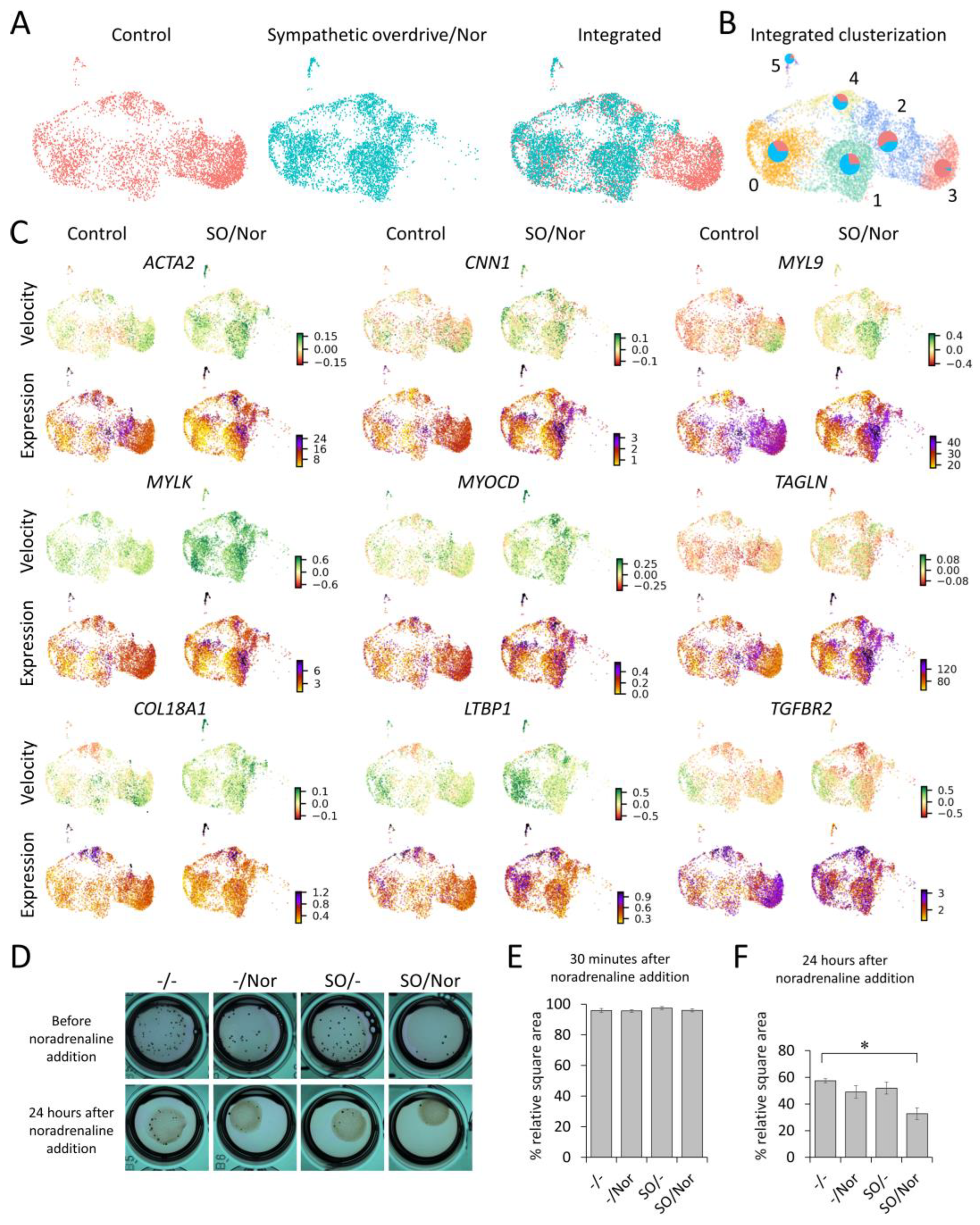 Cells 12 00585 g003 Cells 12 00585 g003