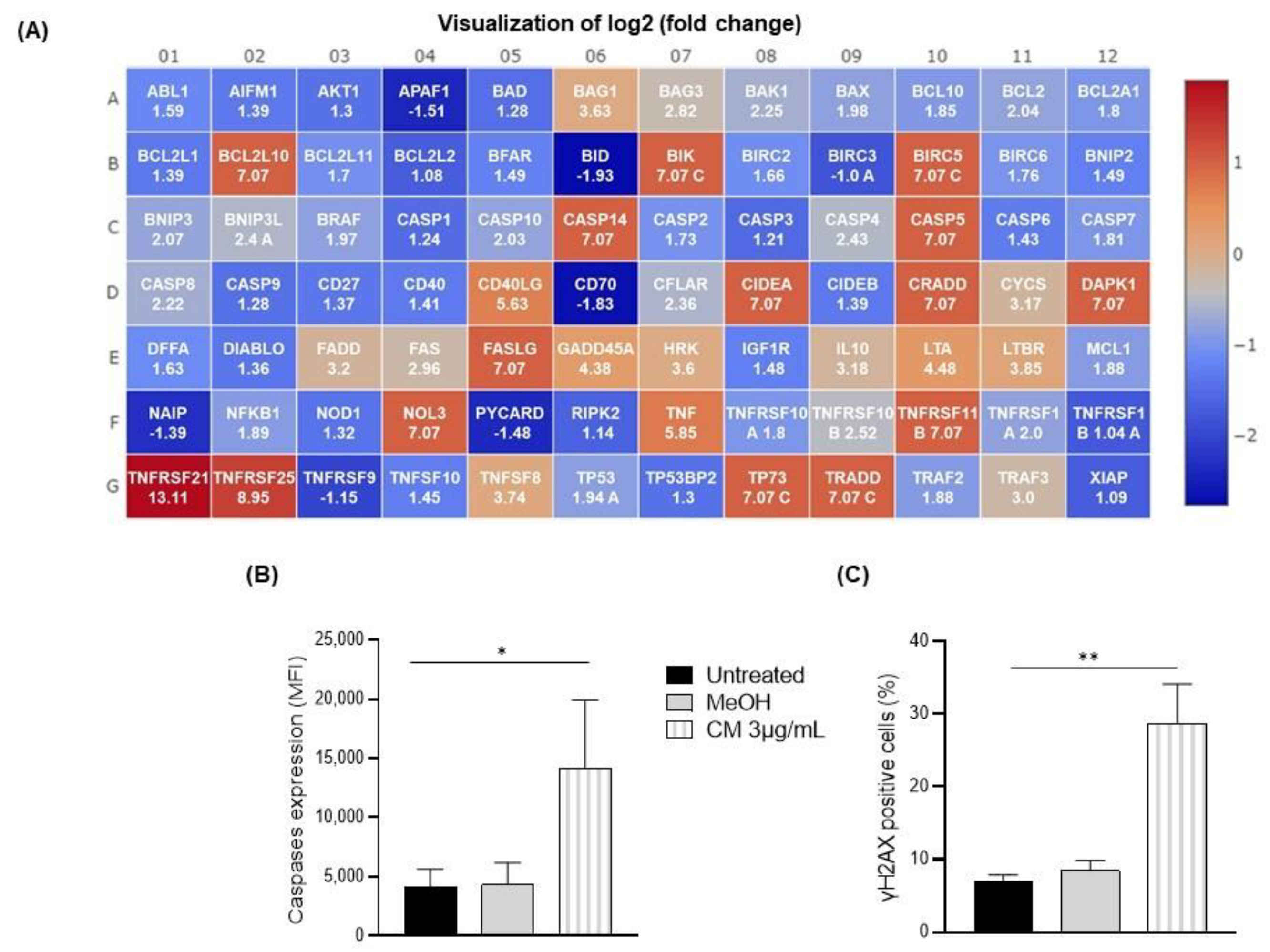 Cells 12 00588 g003 Cells 12 00588 g003