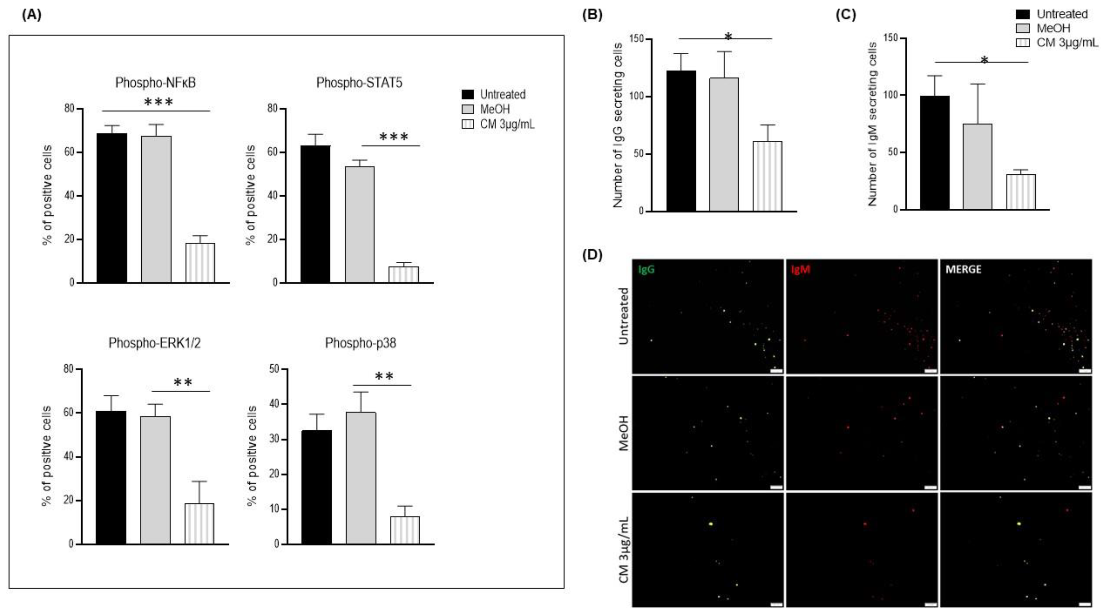 Cells 12 00588 g005 Cells 12 00588 g005