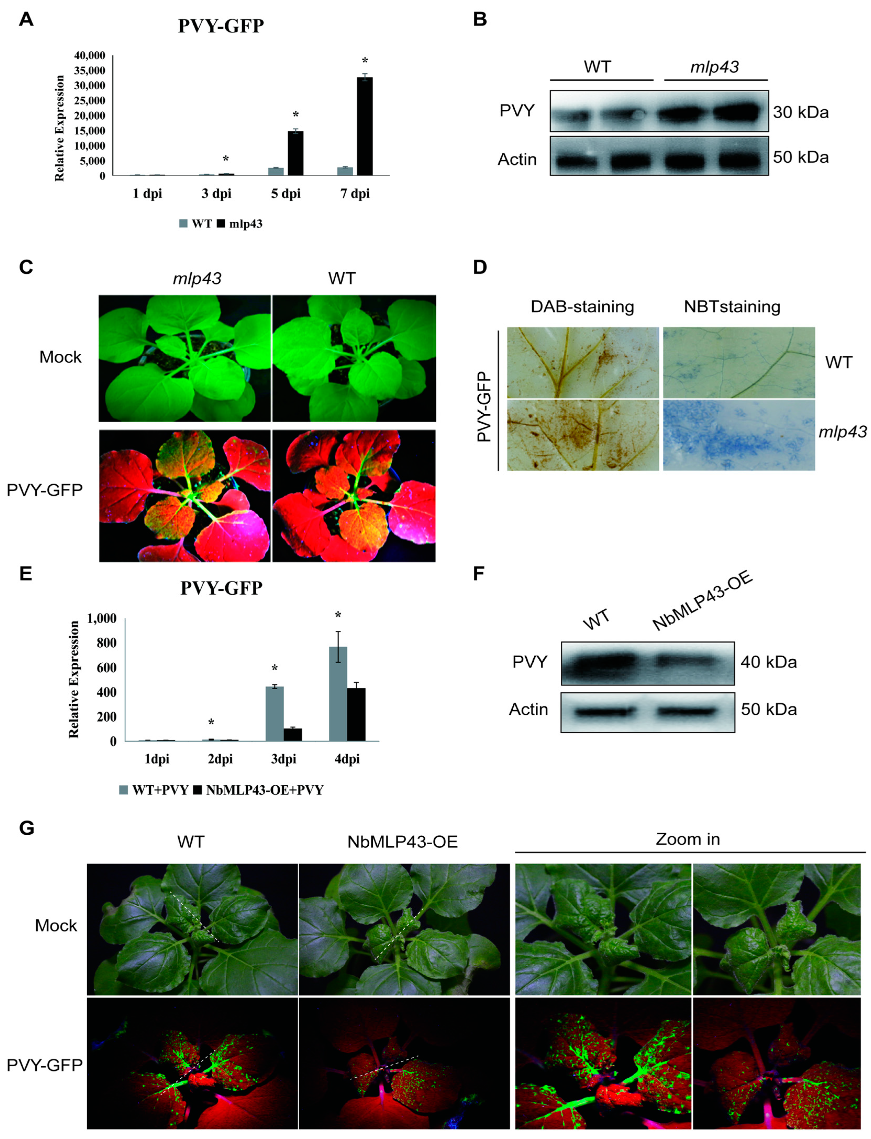 Cells 12 00590 g002 Cells 12 00590 g002