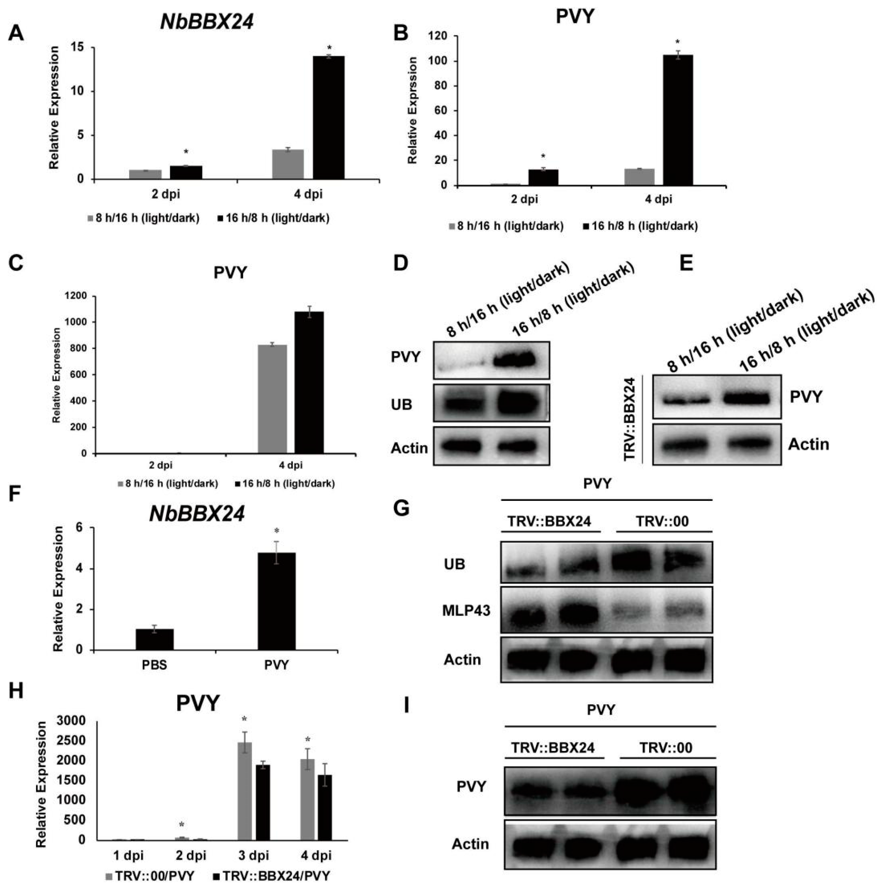 Cells 12 00590 g005 Cells 12 00590 g005