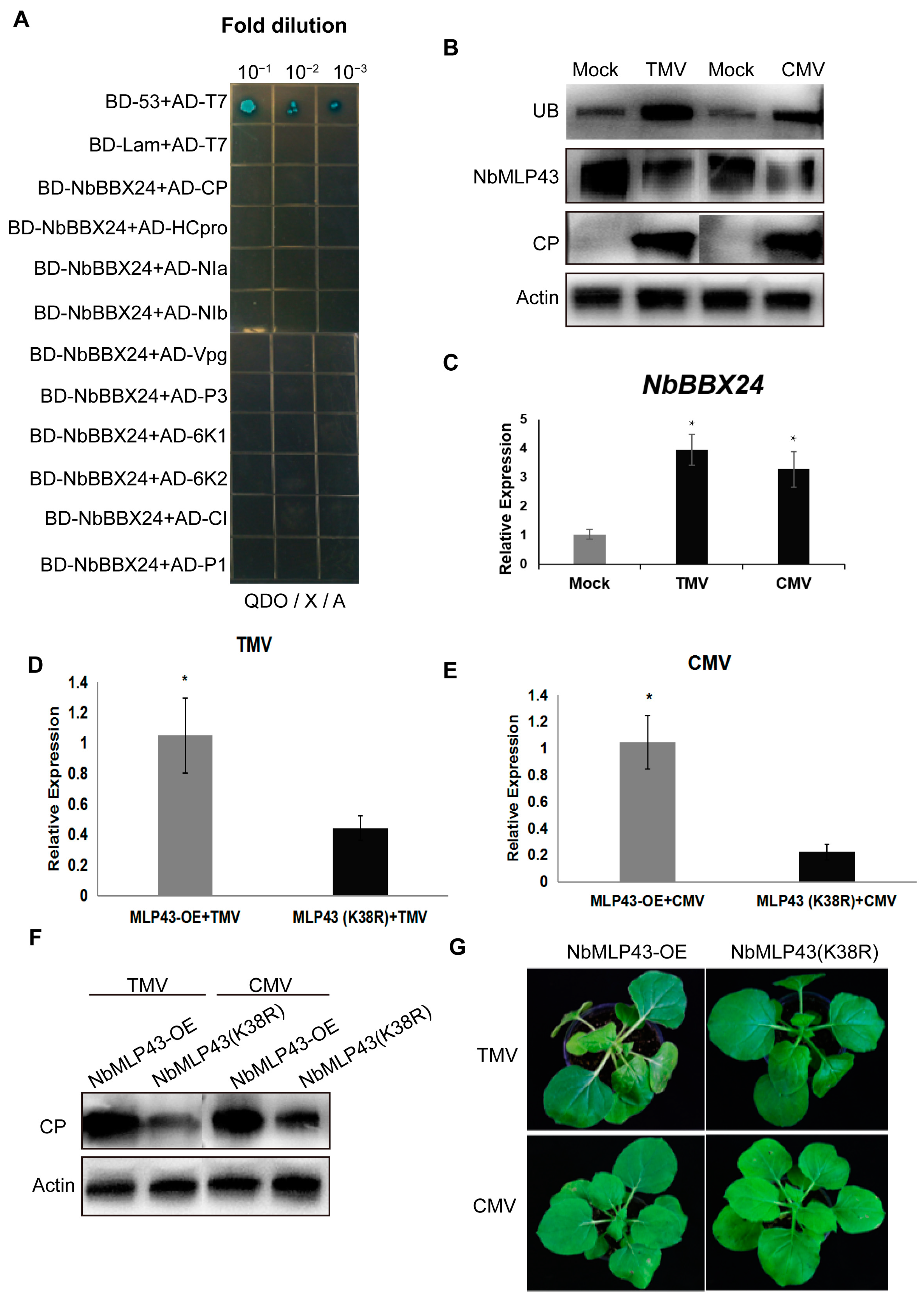 Cells 12 00590 g006 Cells 12 00590 g006