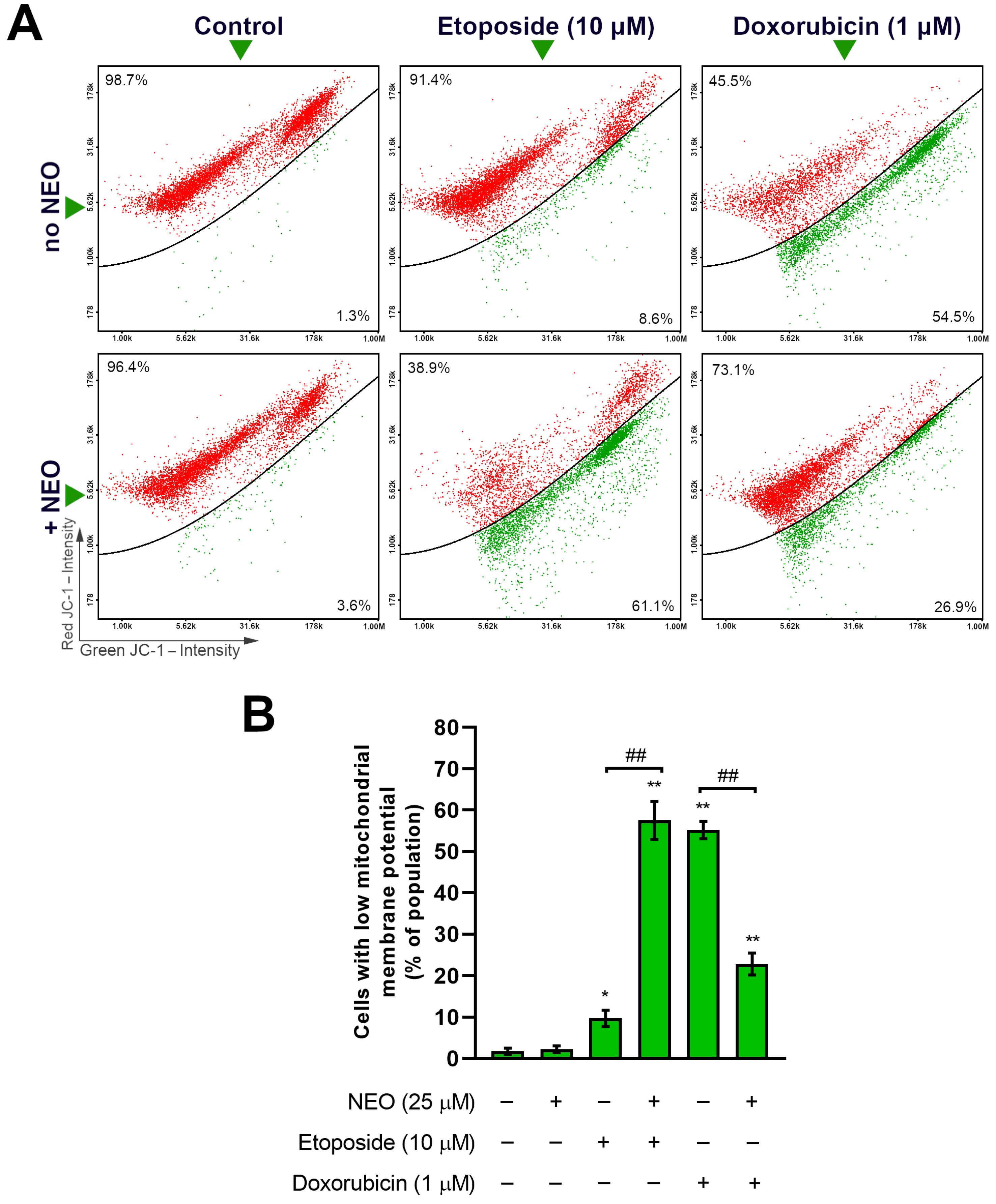 Cells 12 00593 g005 Cells 12 00593 g005