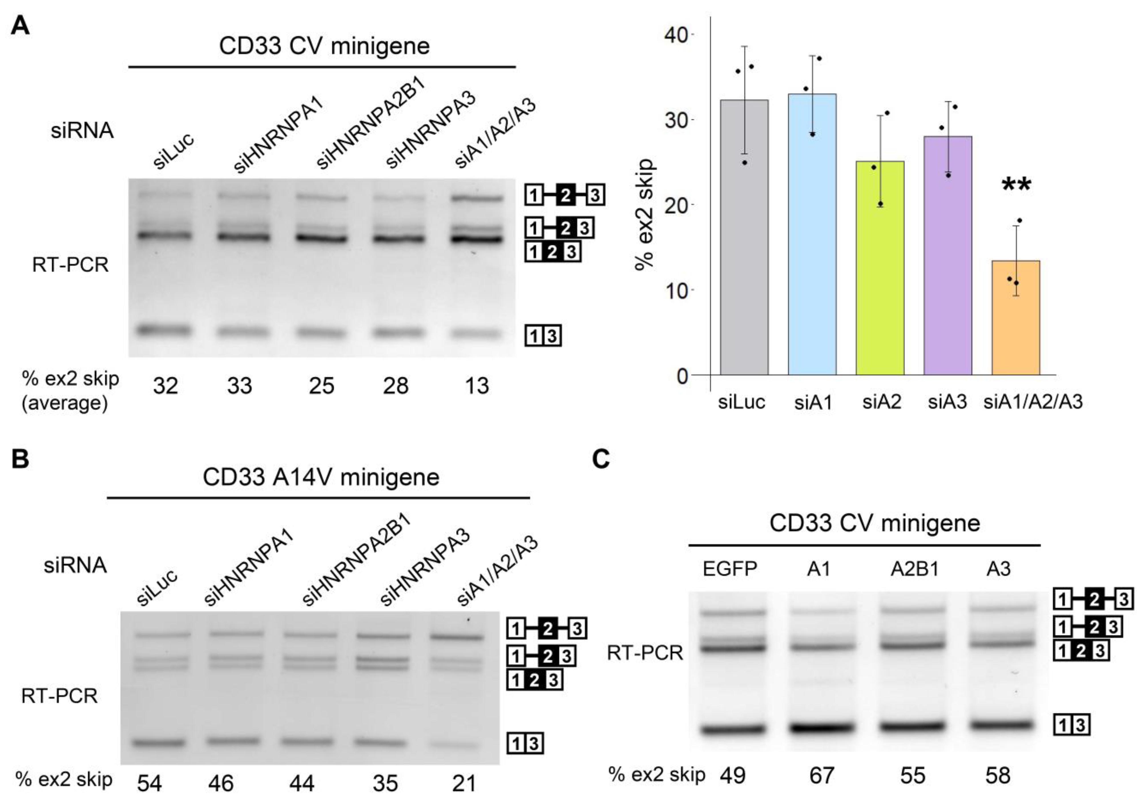 Cells 12 00602 g002 Cells 12 00602 g002