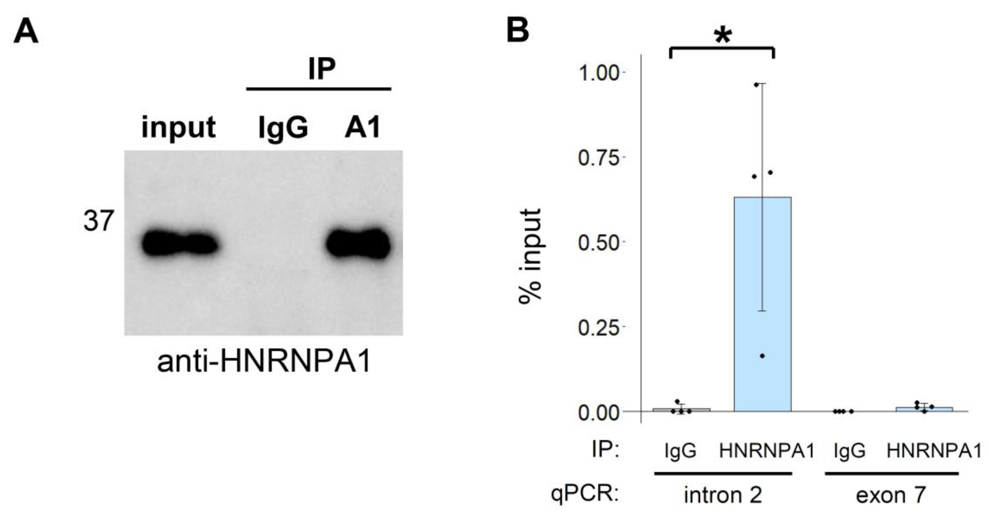 Cells 12 00602 g004 Cells 12 00602 g004