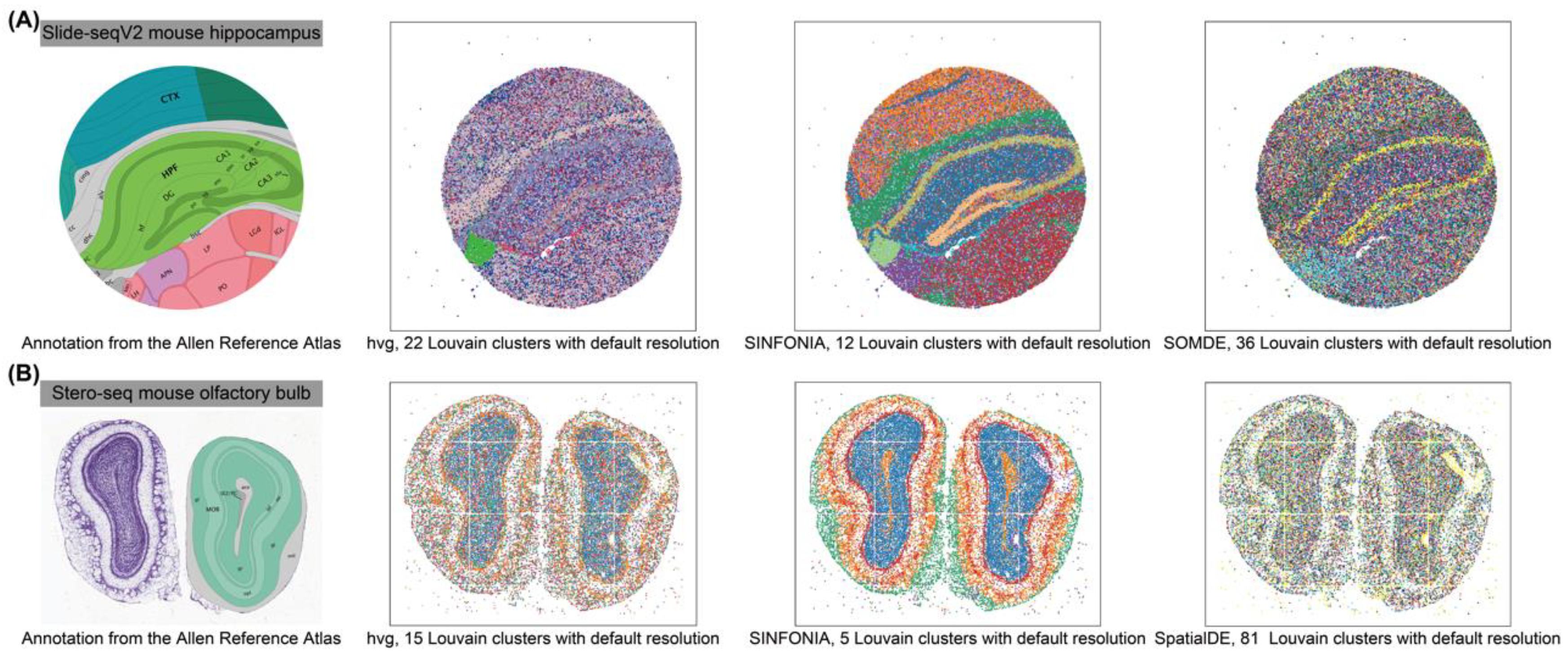 Cells 12 00604 g005 Cells 12 00604 g005