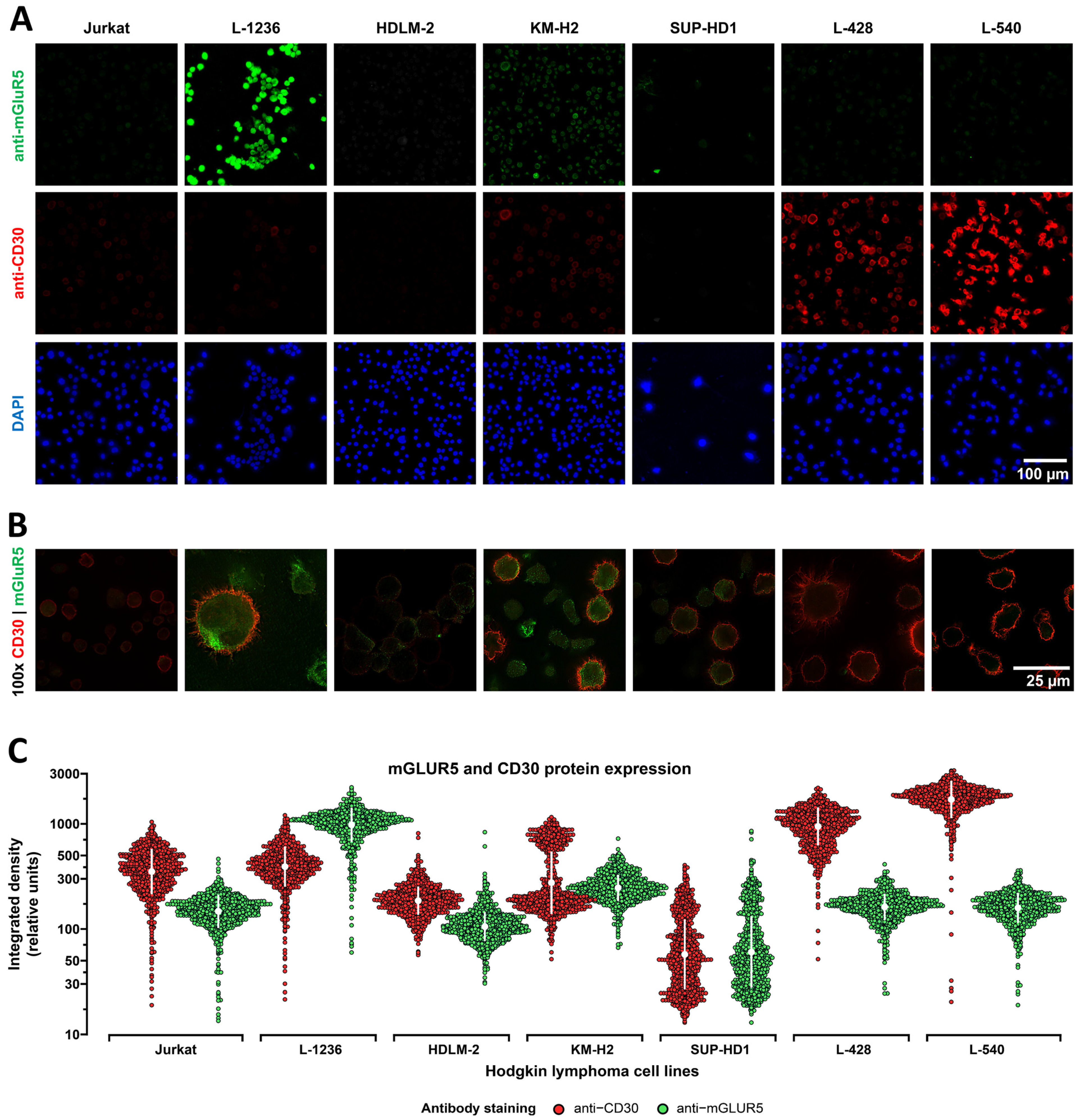 Cells 12 00606 g002 Cells 12 00606 g002