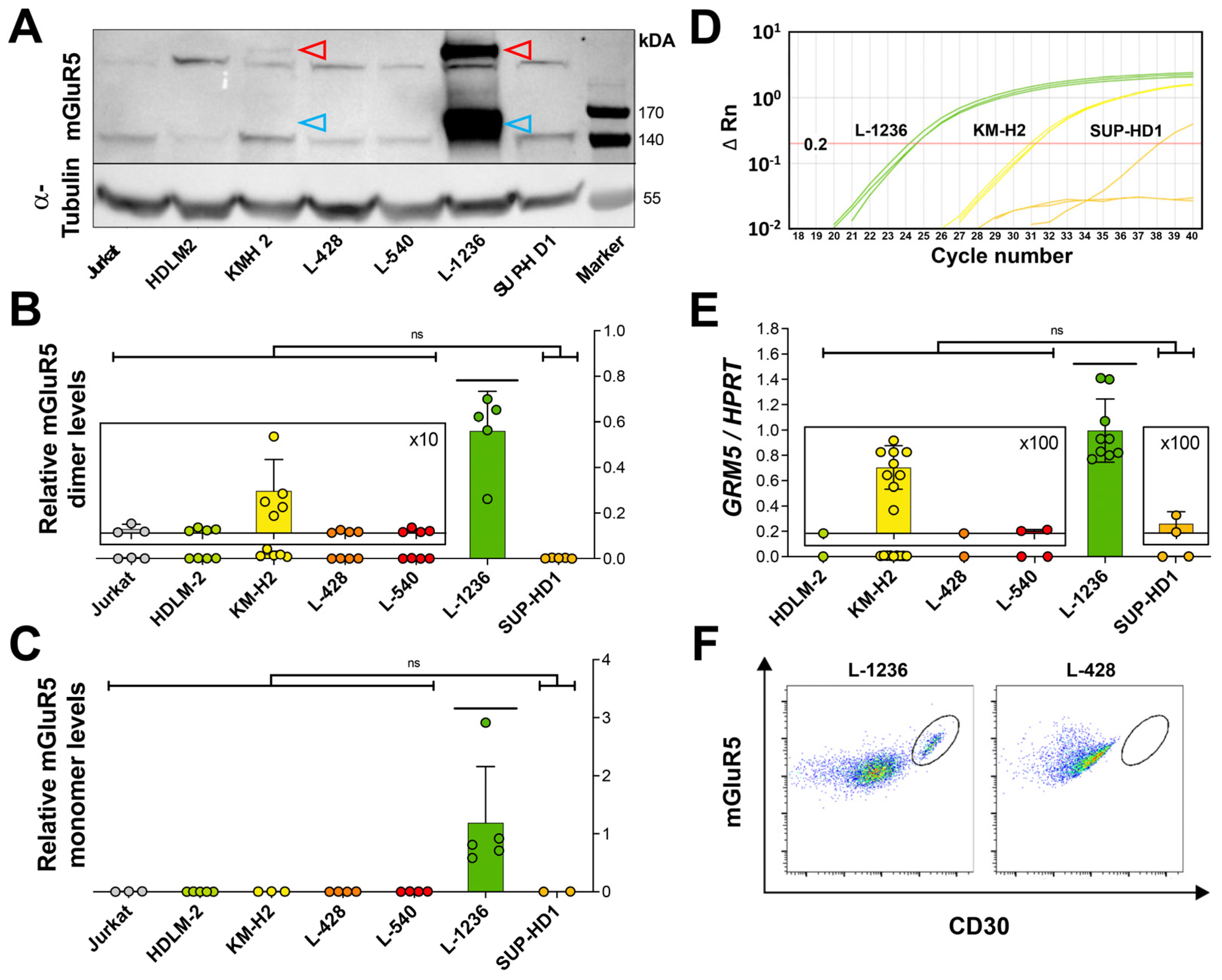 Cells 12 00606 g003 Cells 12 00606 g003