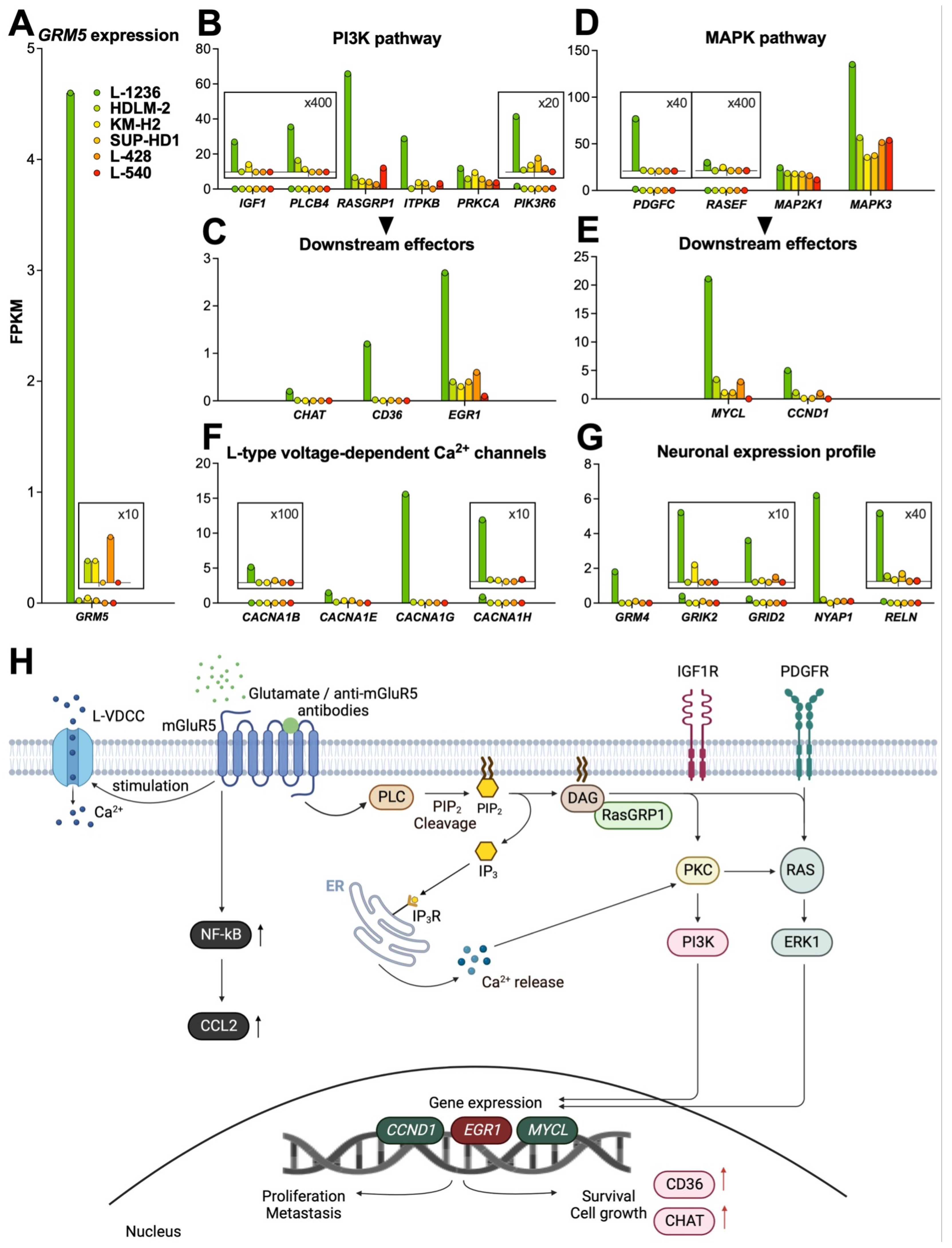 Cells 12 00606 g004 Cells 12 00606 g004