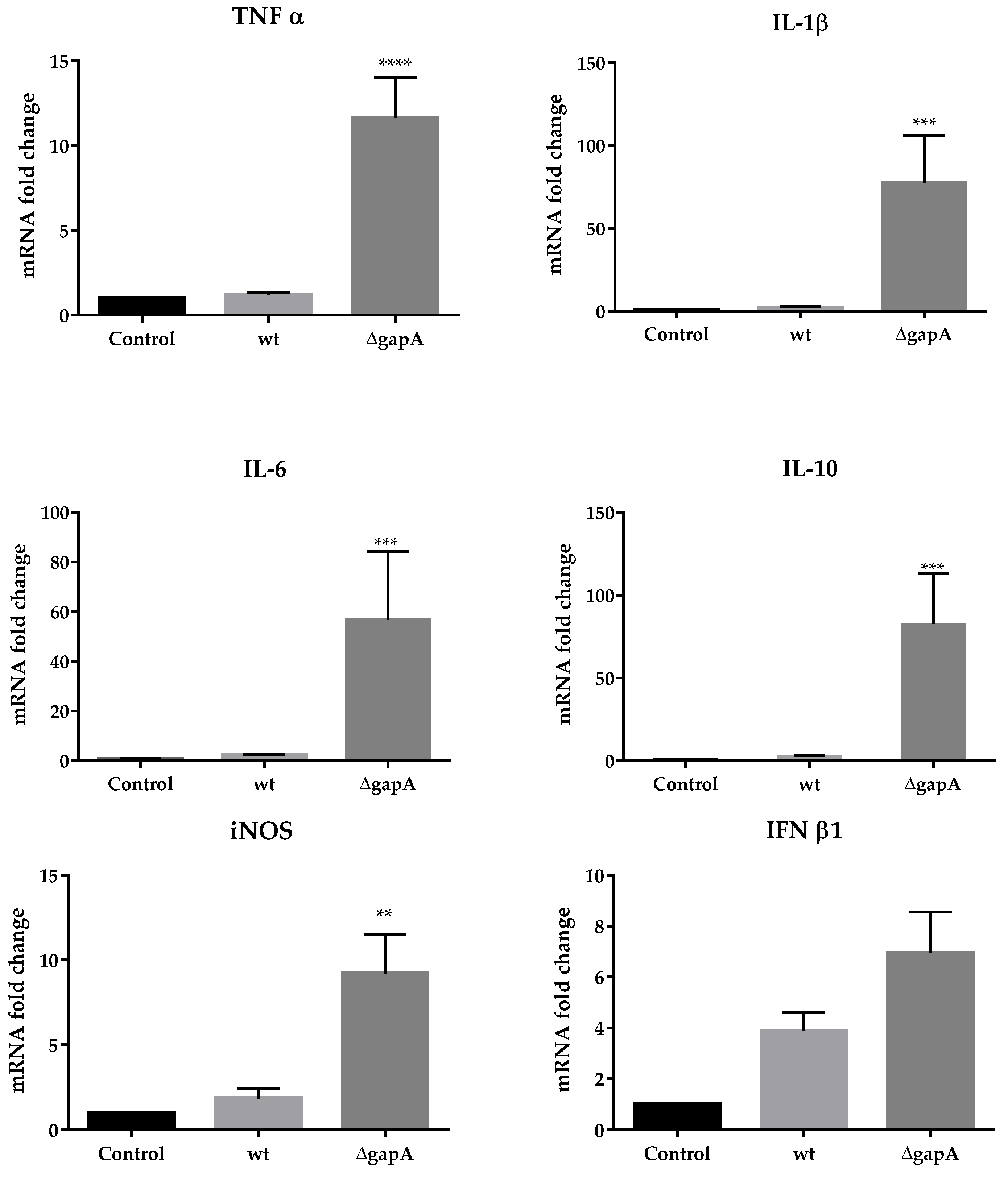 Cells 12 00607 g007 Cells 12 00607 g007