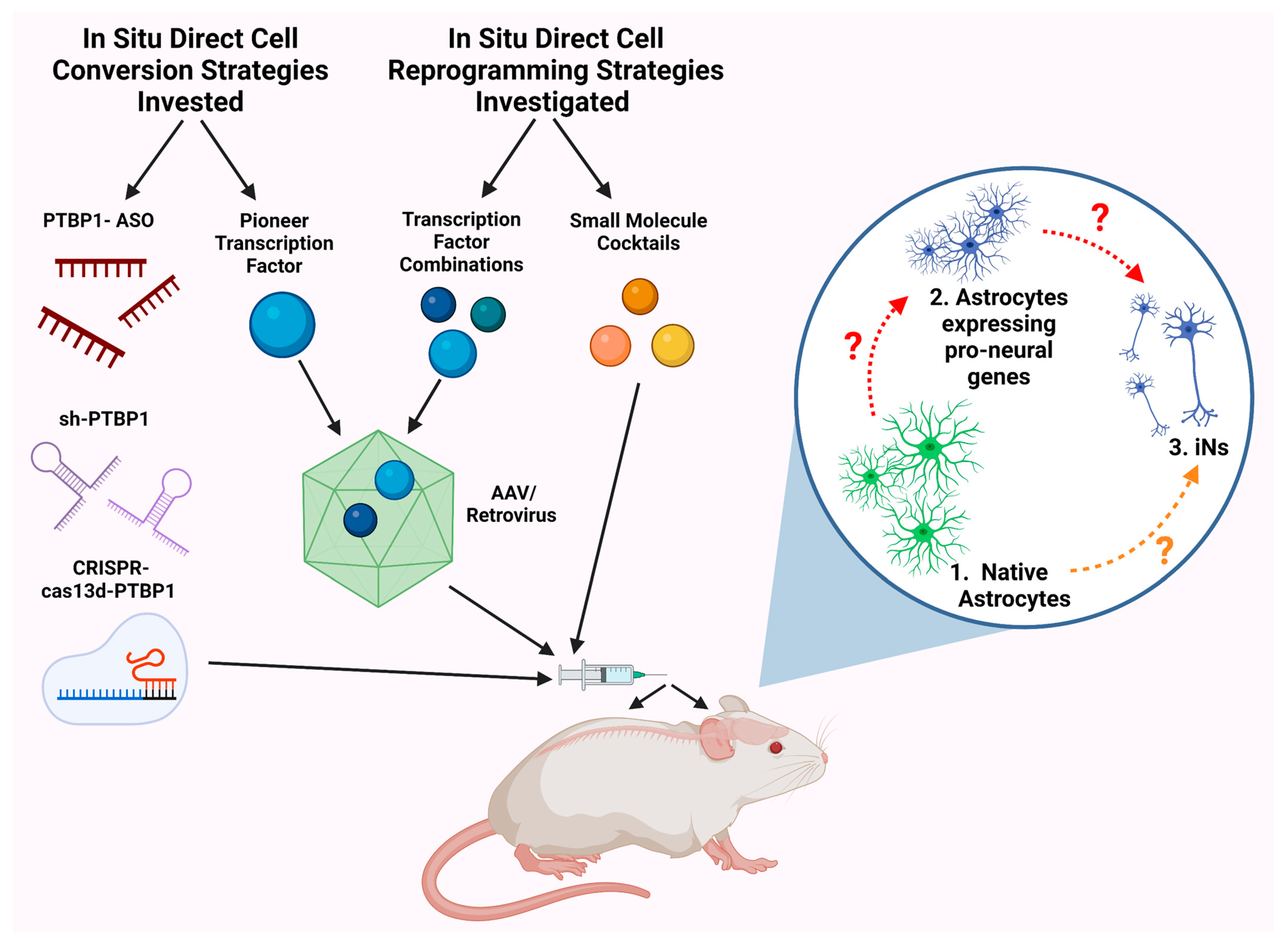 Cells 12 00618 g002 Cells 12 00618 g002
