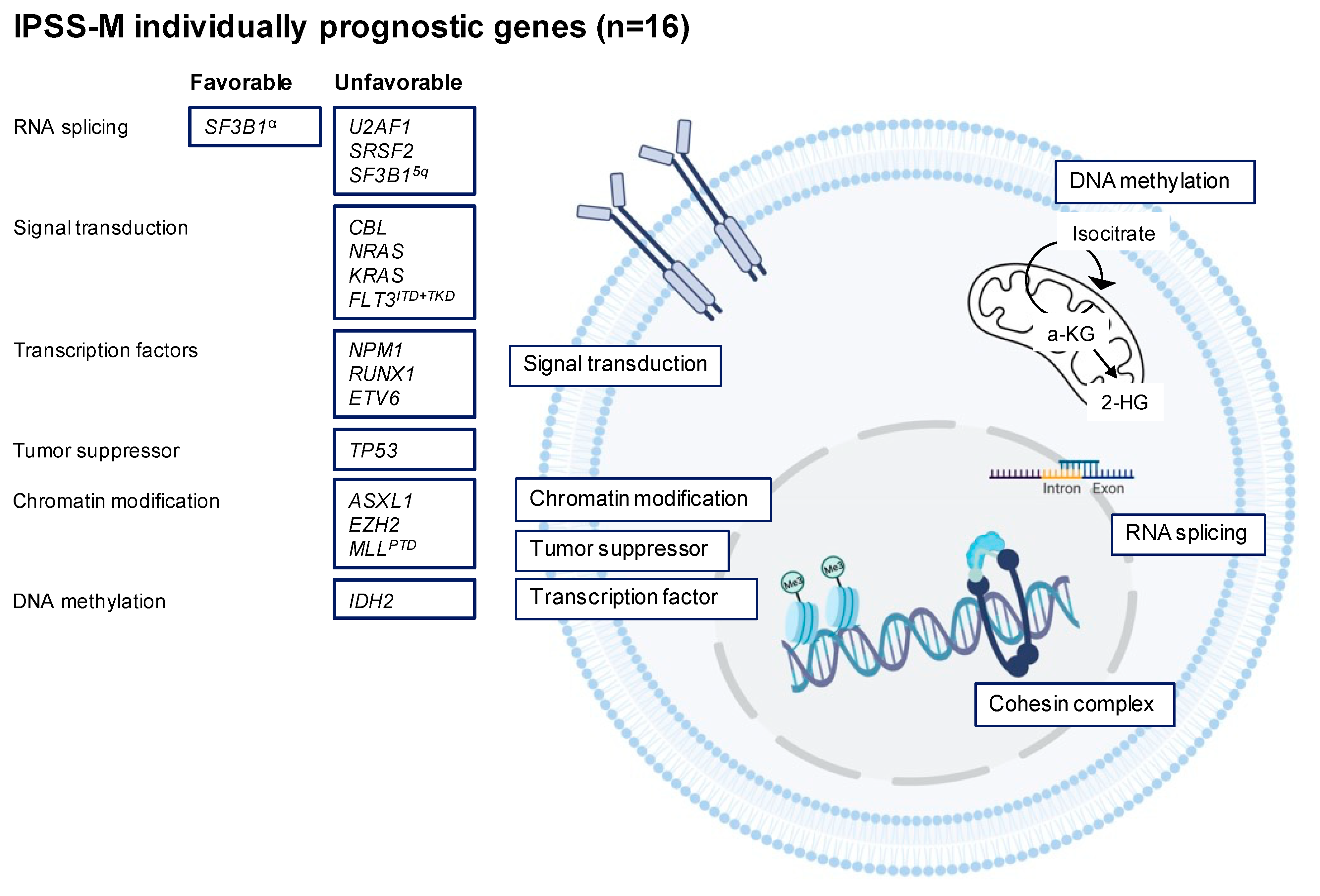 Cells 12 00627 g001 Cells 12 00627 g001