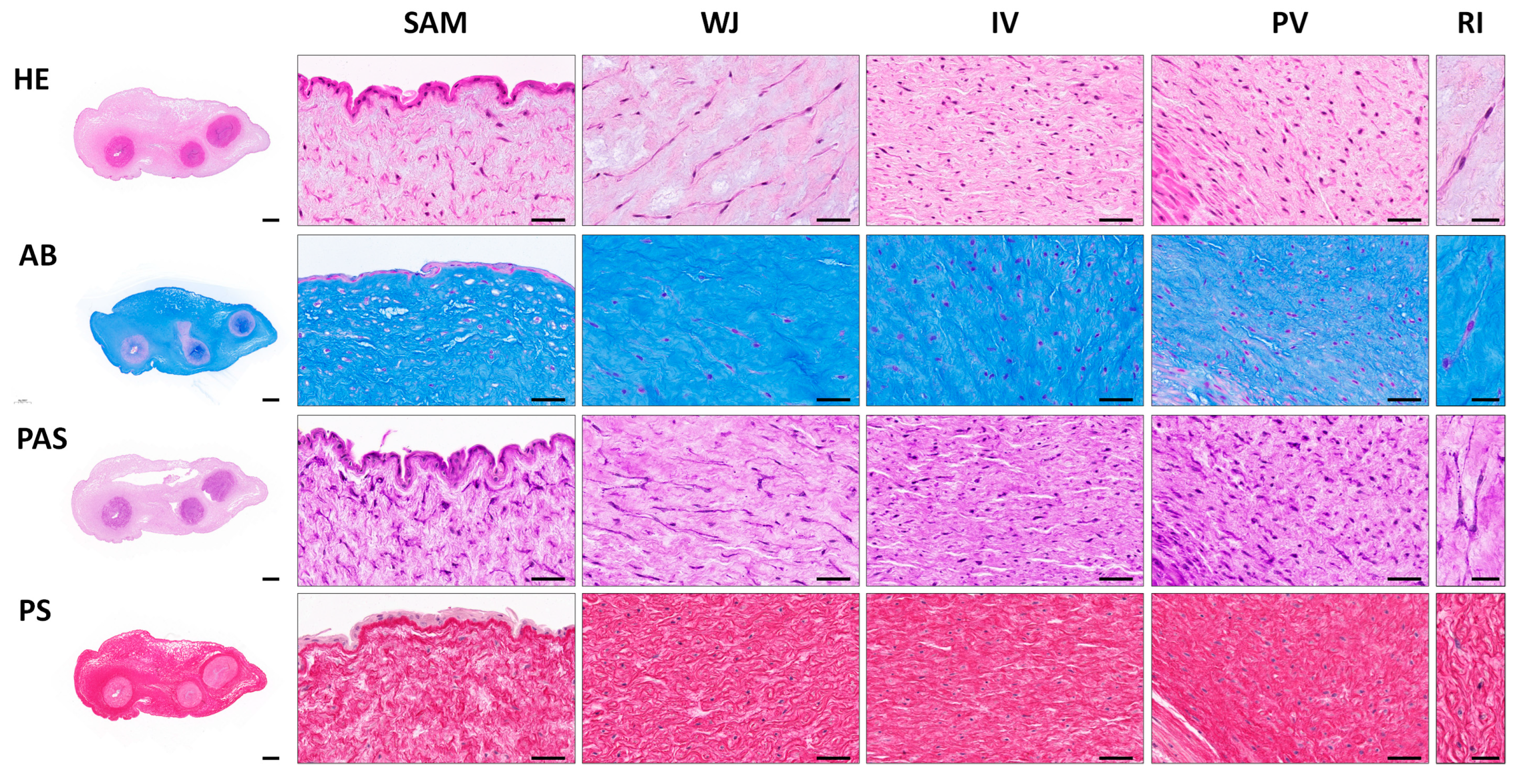 Cells 12 00629 g002 Cells 12 00629 g002