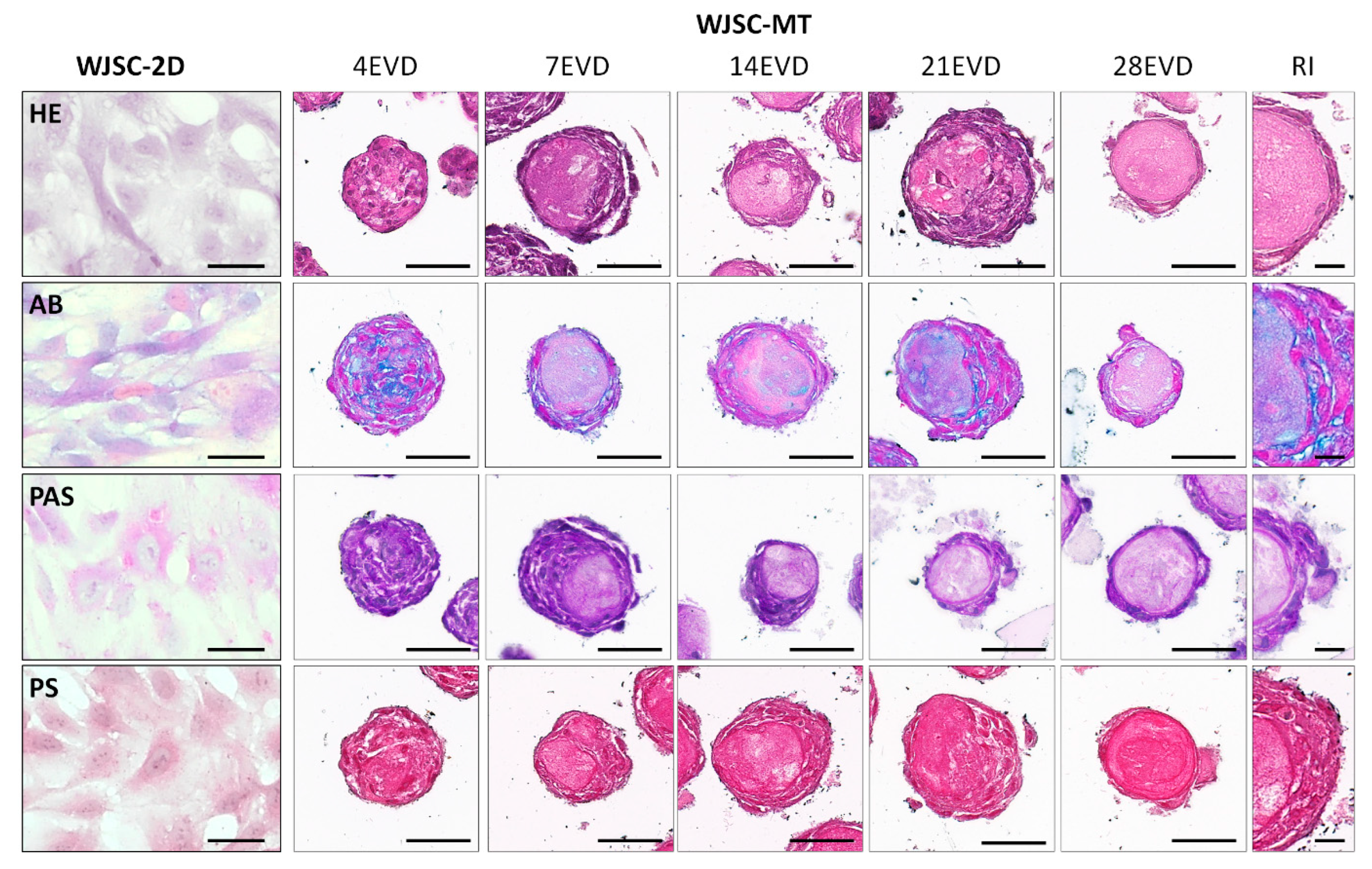 Cells 12 00629 g005 Cells 12 00629 g005