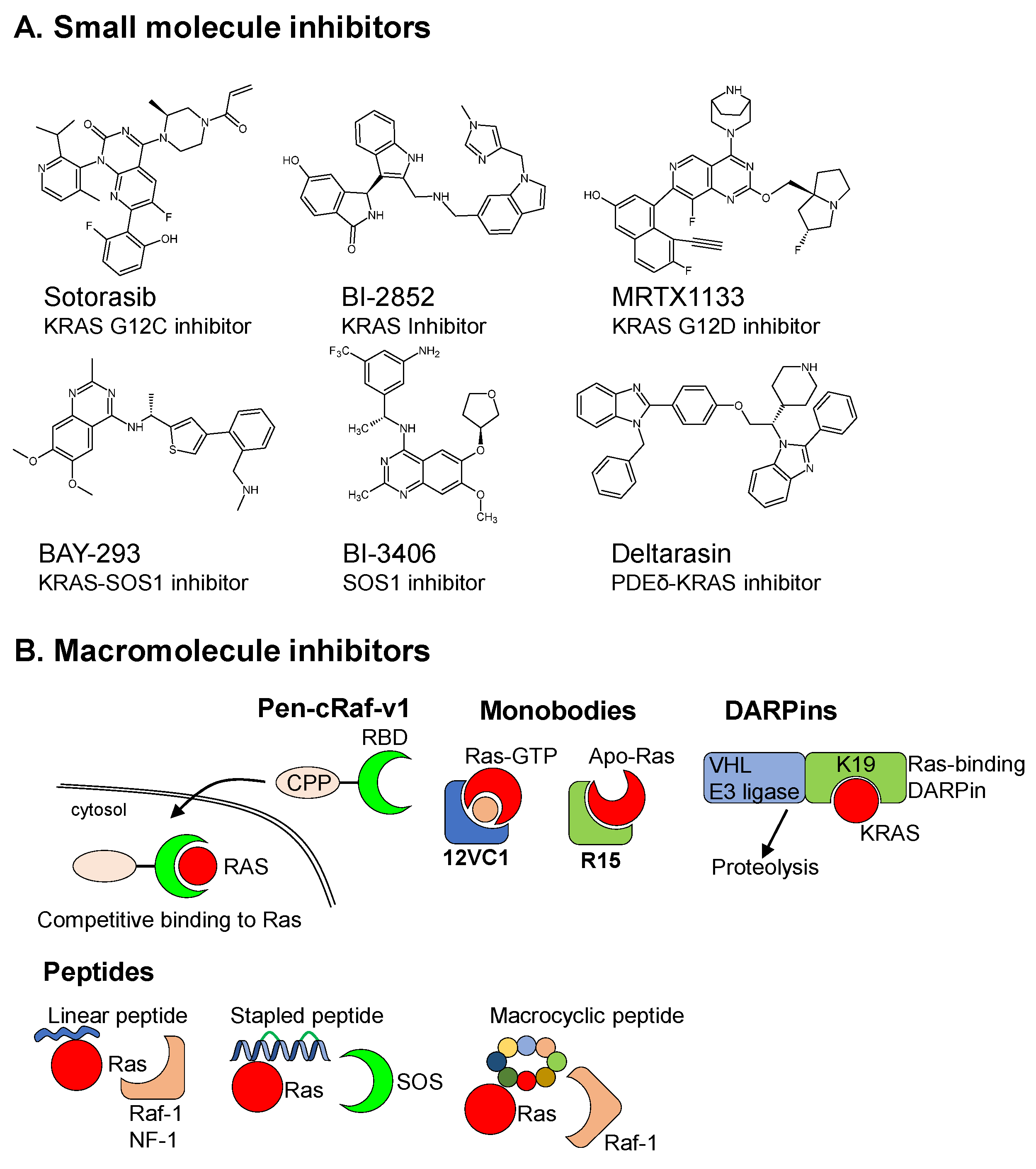 Cells 12 00631 g002 Cells 12 00631 g002