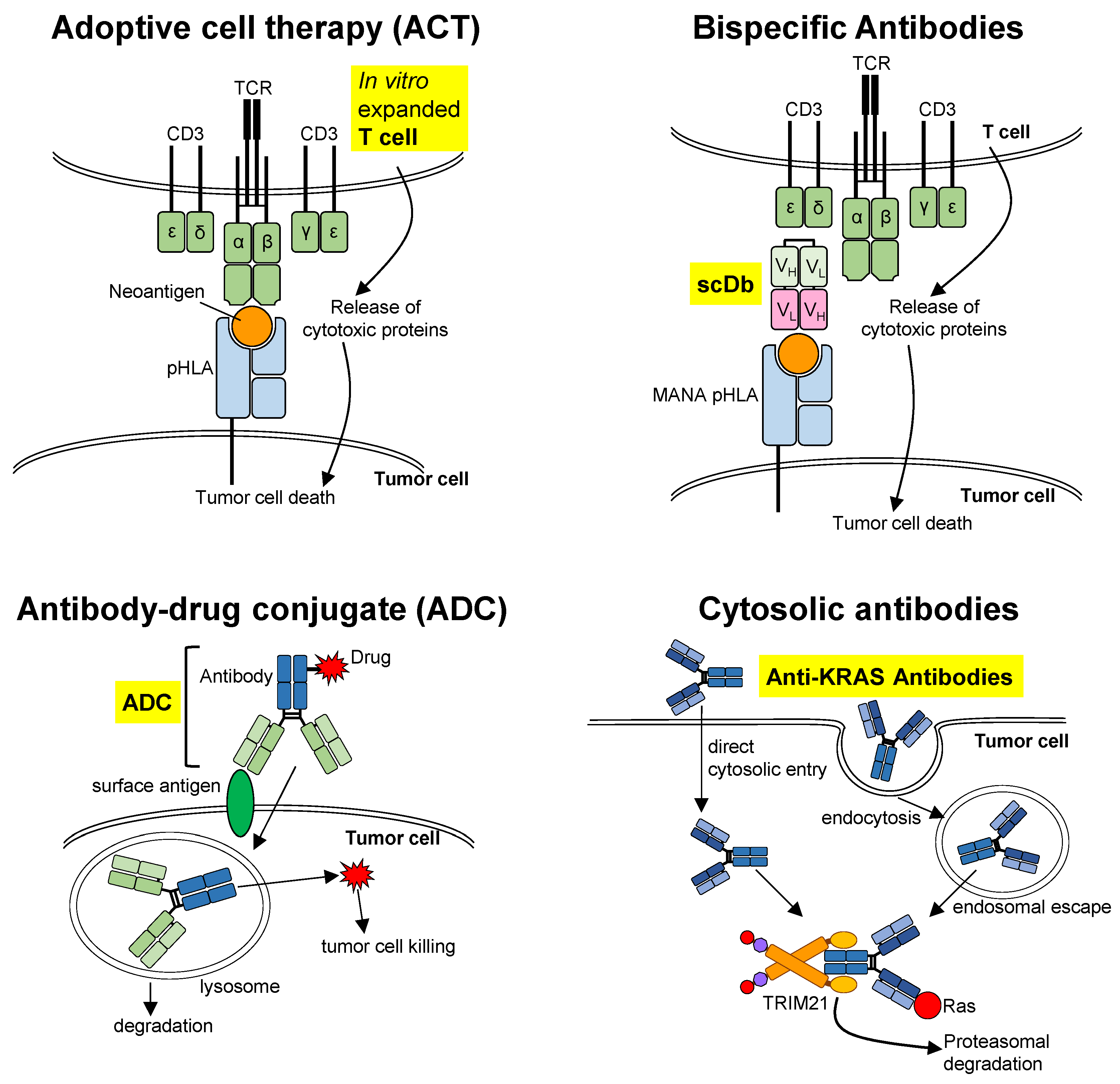 Cells 12 00631 g003 Cells 12 00631 g003