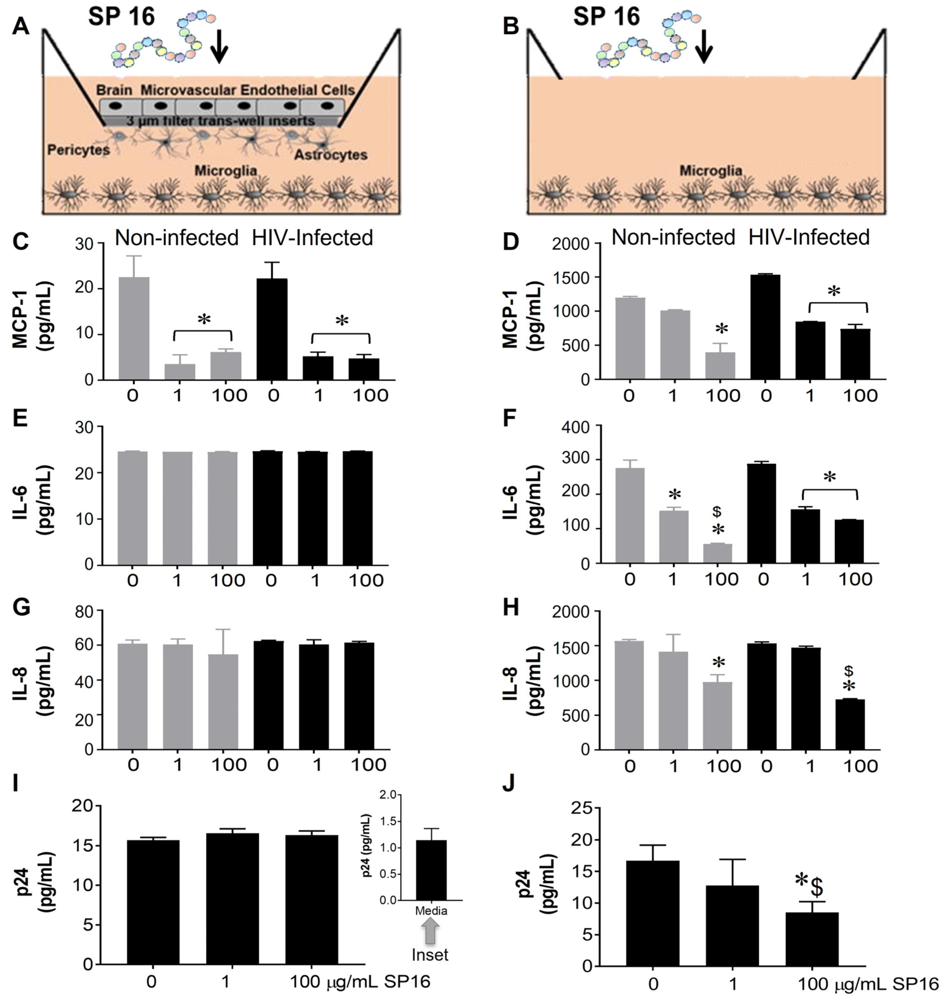 Cells 12 00632 g001 Cells 12 00632 g001