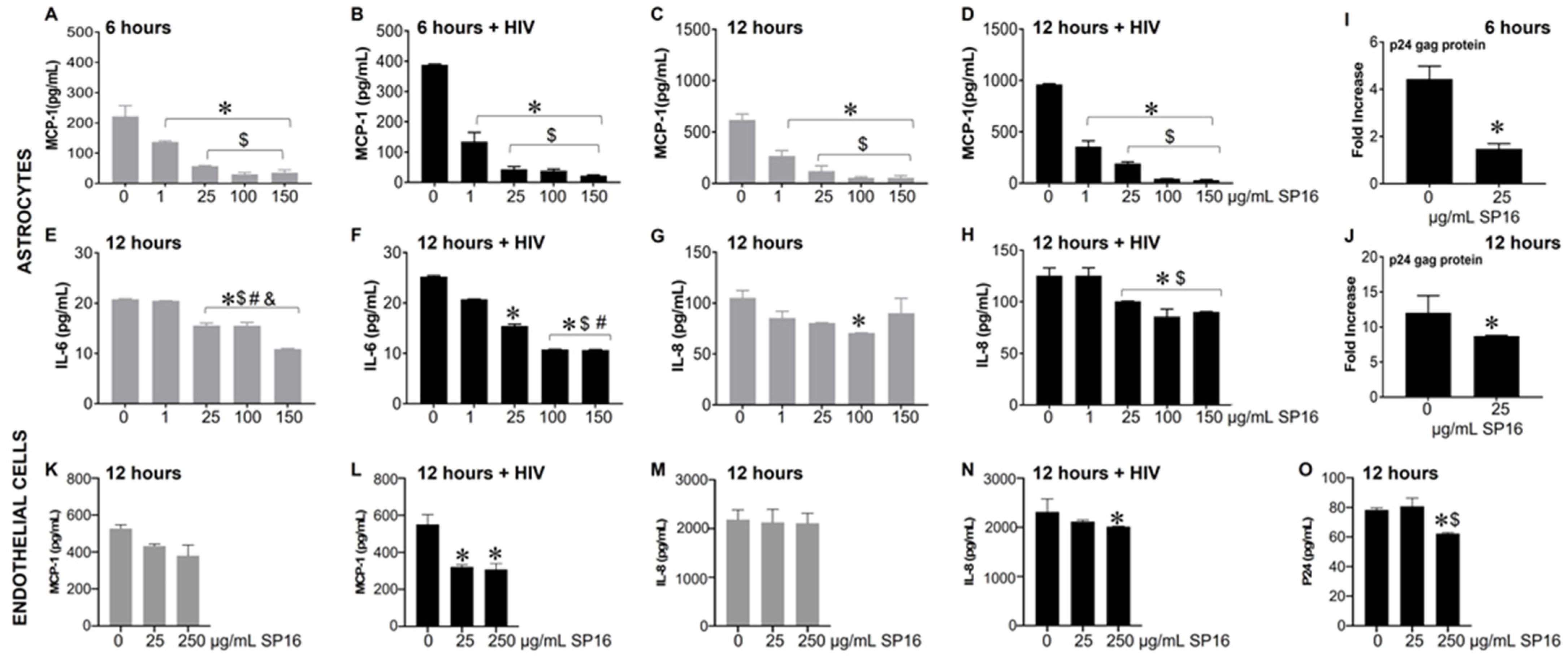 SERPIN-Derived Small Peptide (SP16) as a Potential Therapeutic Agent ...
