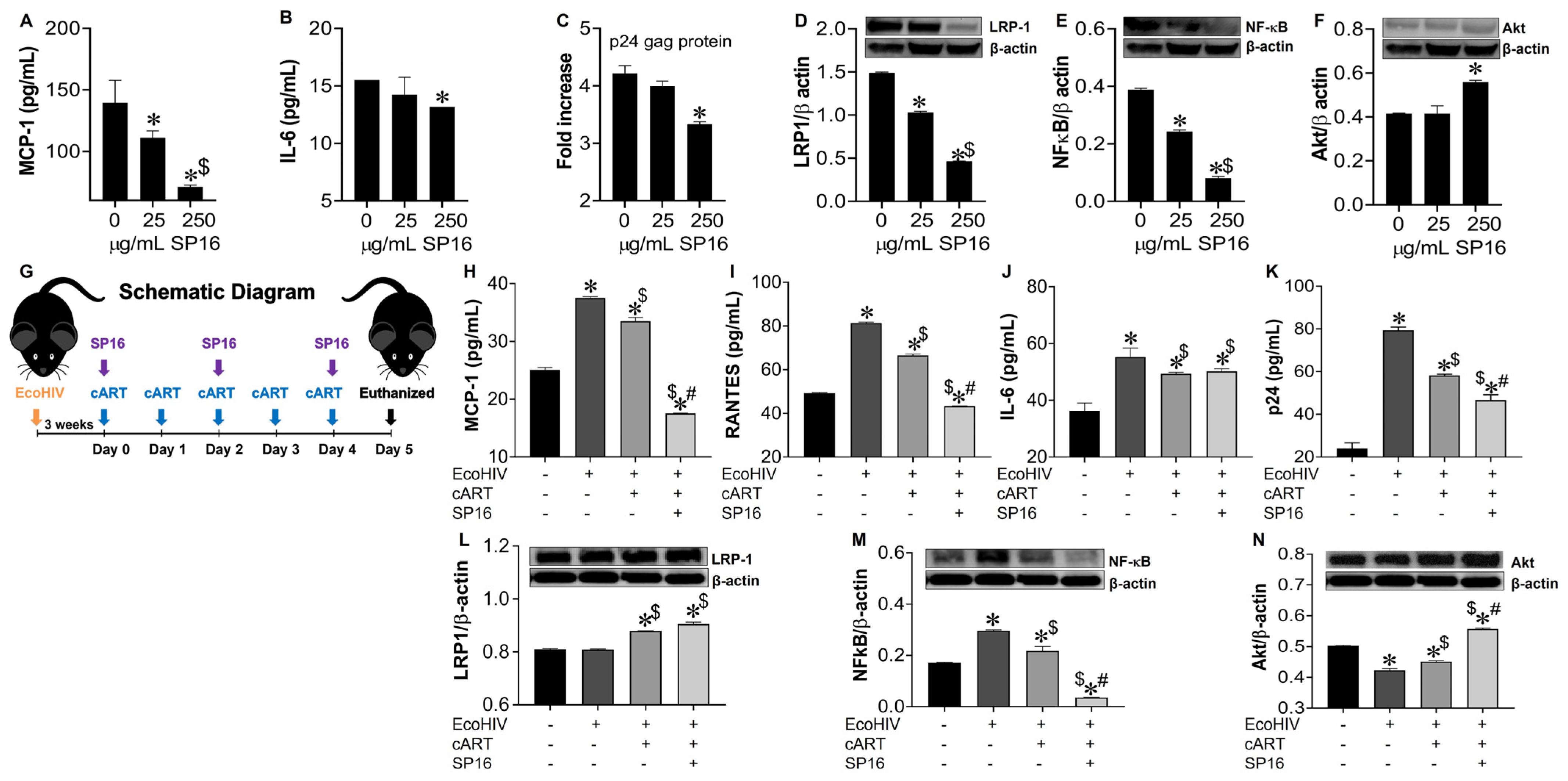 Cells 12 00632 g009 Cells 12 00632 g009