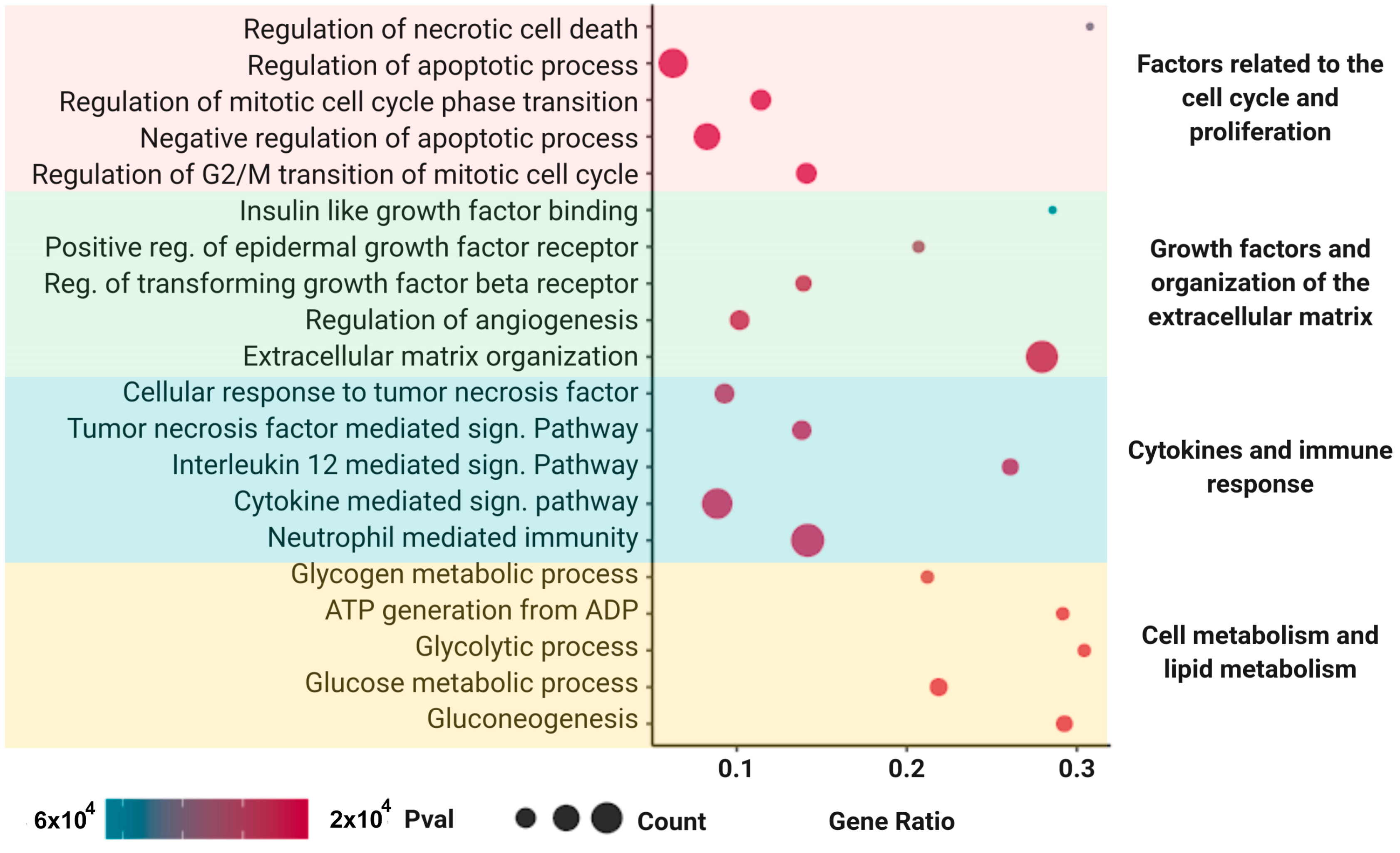 Cells 12 00636 g009 Cells 12 00636 g009