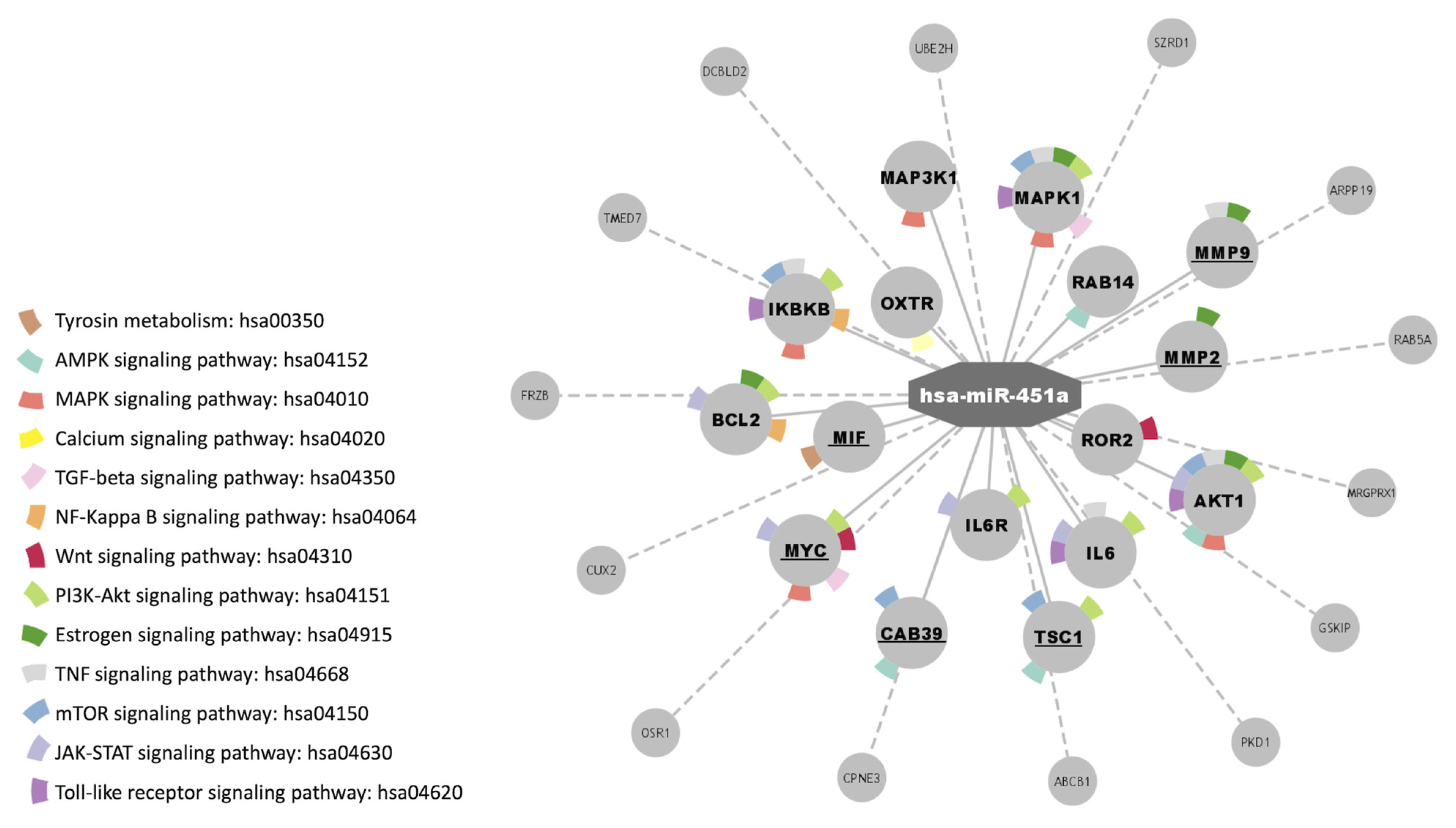 Cells 12 00638 g005 Cells 12 00638 g005