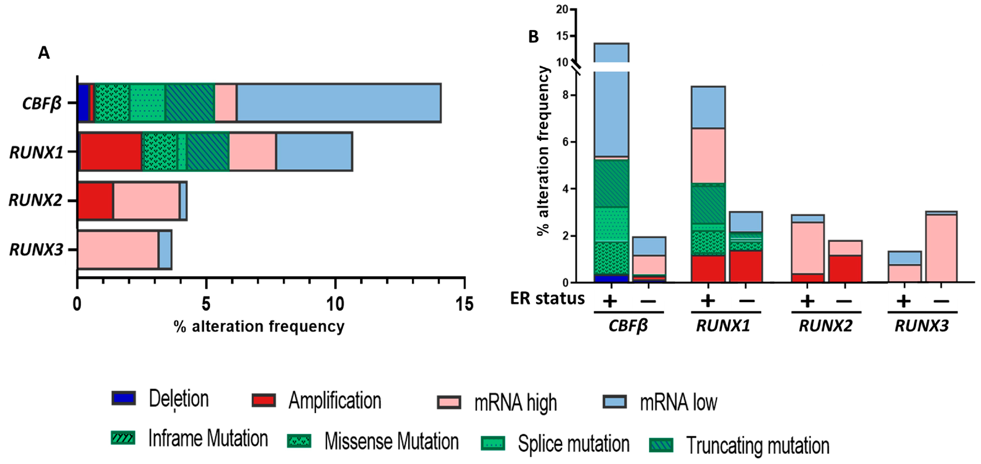 Cells 12 00641 g001 Cells 12 00641 g001
