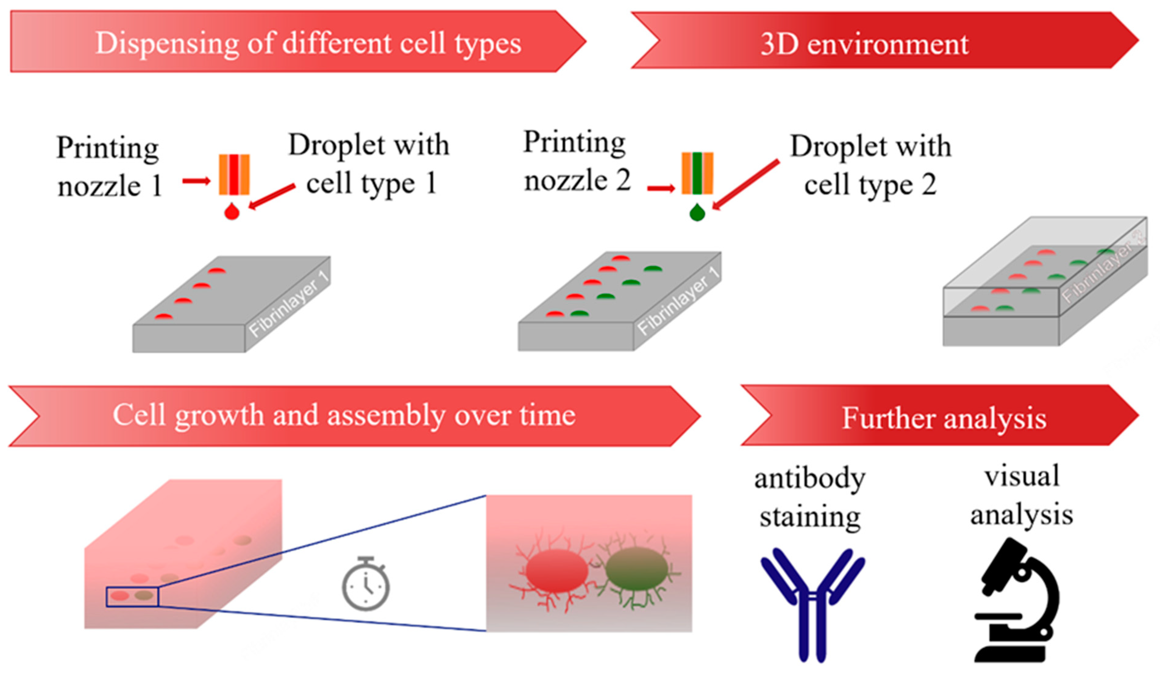 Cells 12 00646 g002 Cells 12 00646 g002