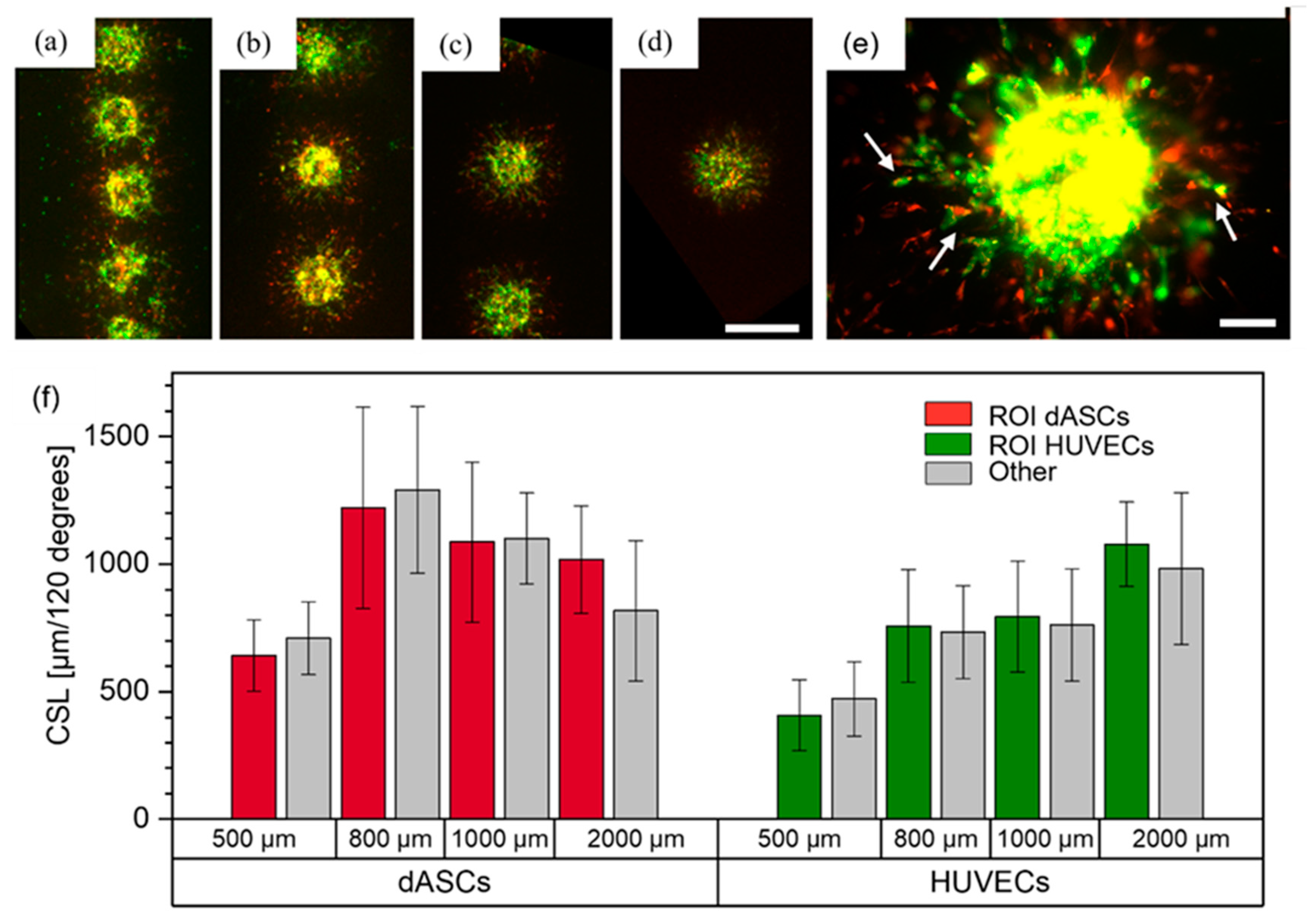 Cells 12 00646 g008 Cells 12 00646 g008