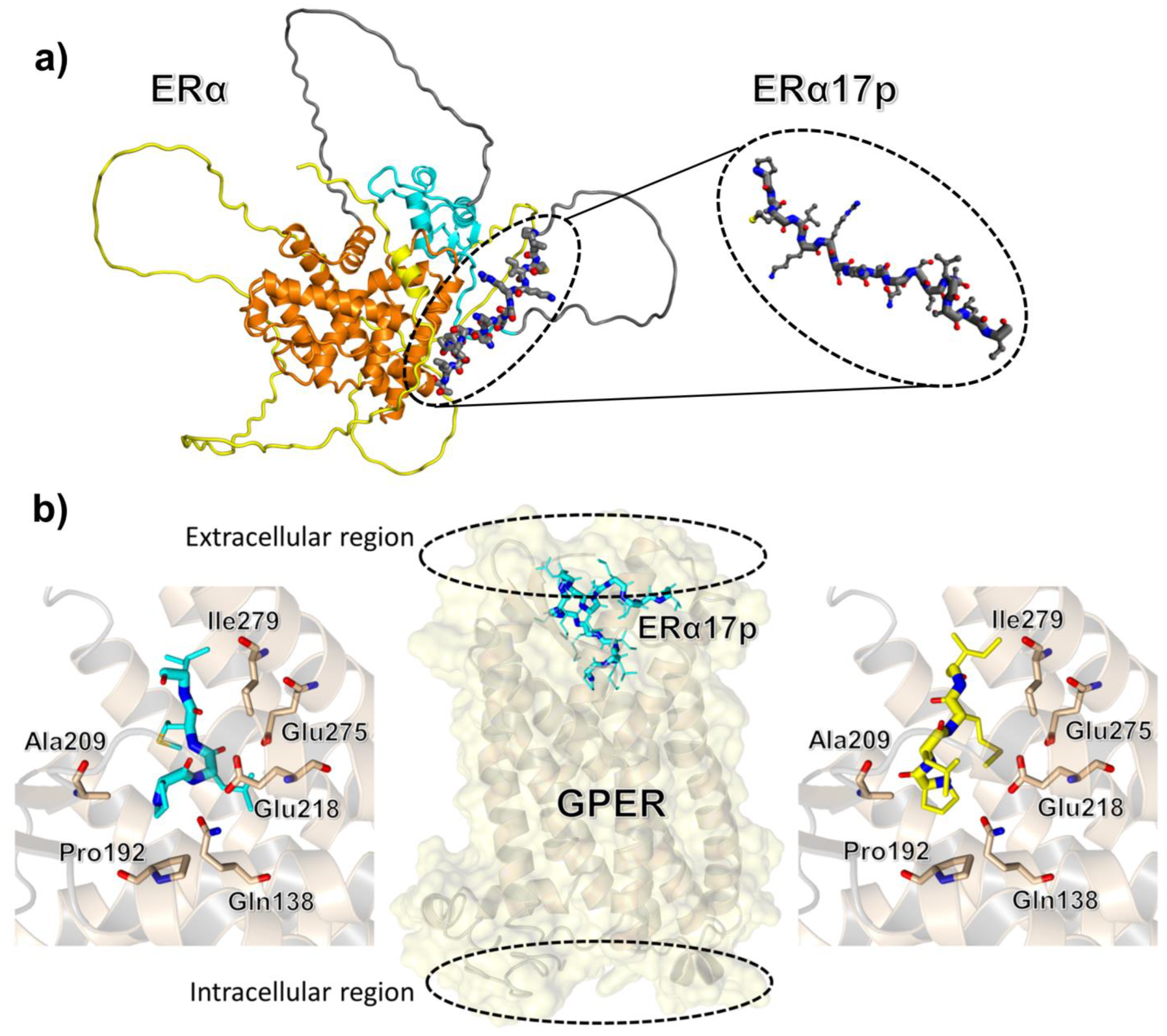 Cells 12 00653 g001 Cells 12 00653 g001