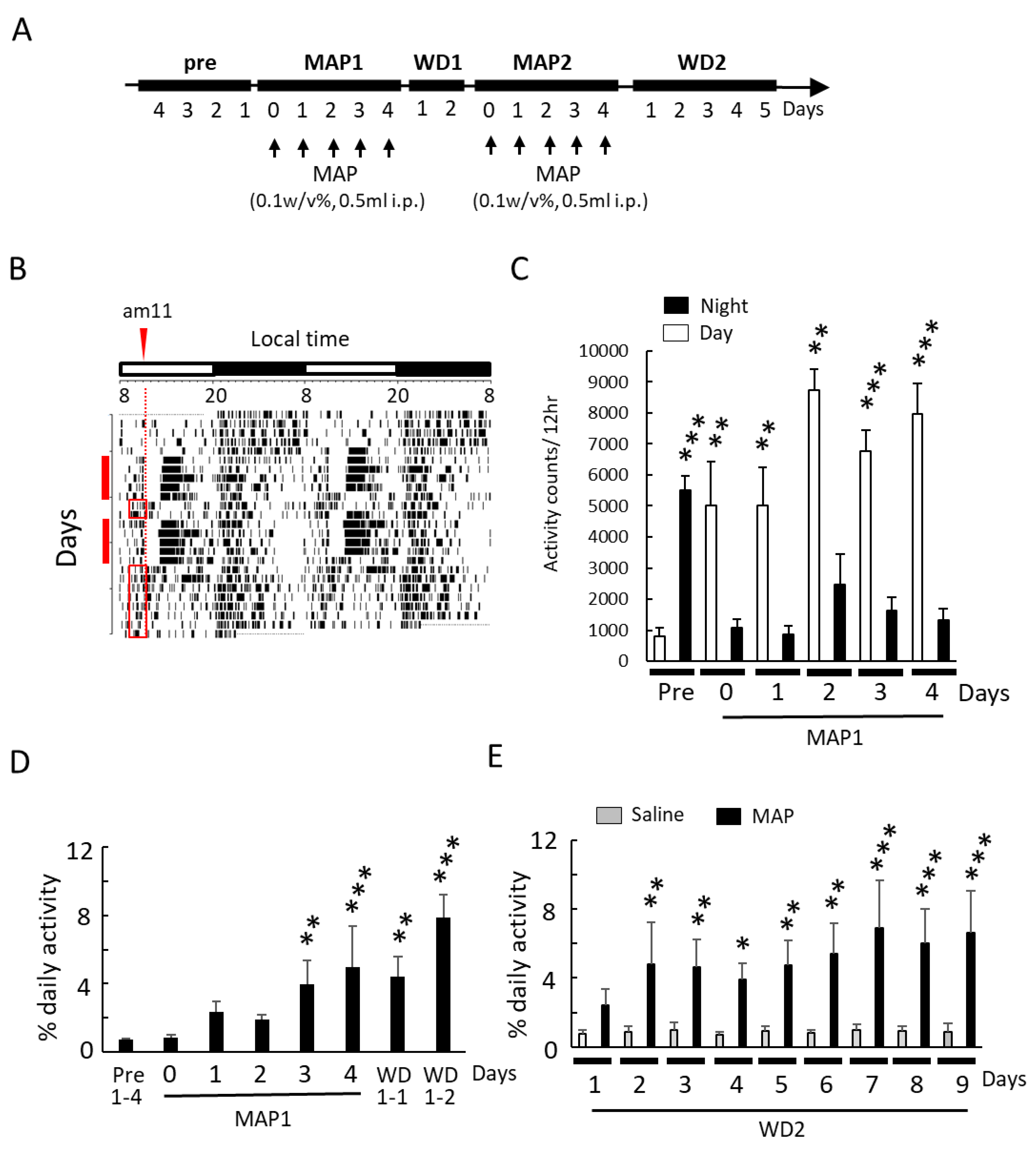 Cells 12 00654 g001a