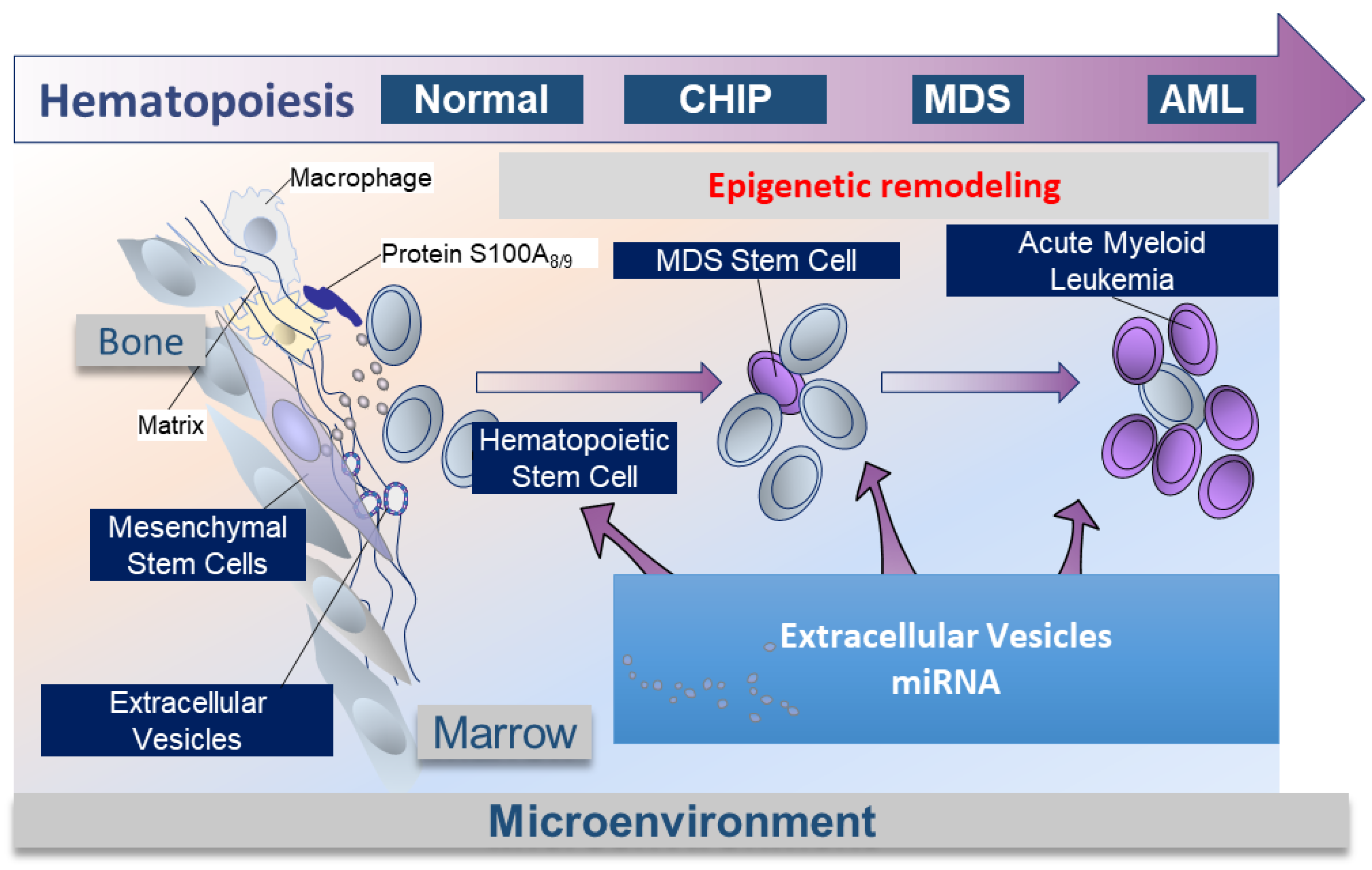 Cells 12 00658 g002 Cells 12 00658 g002