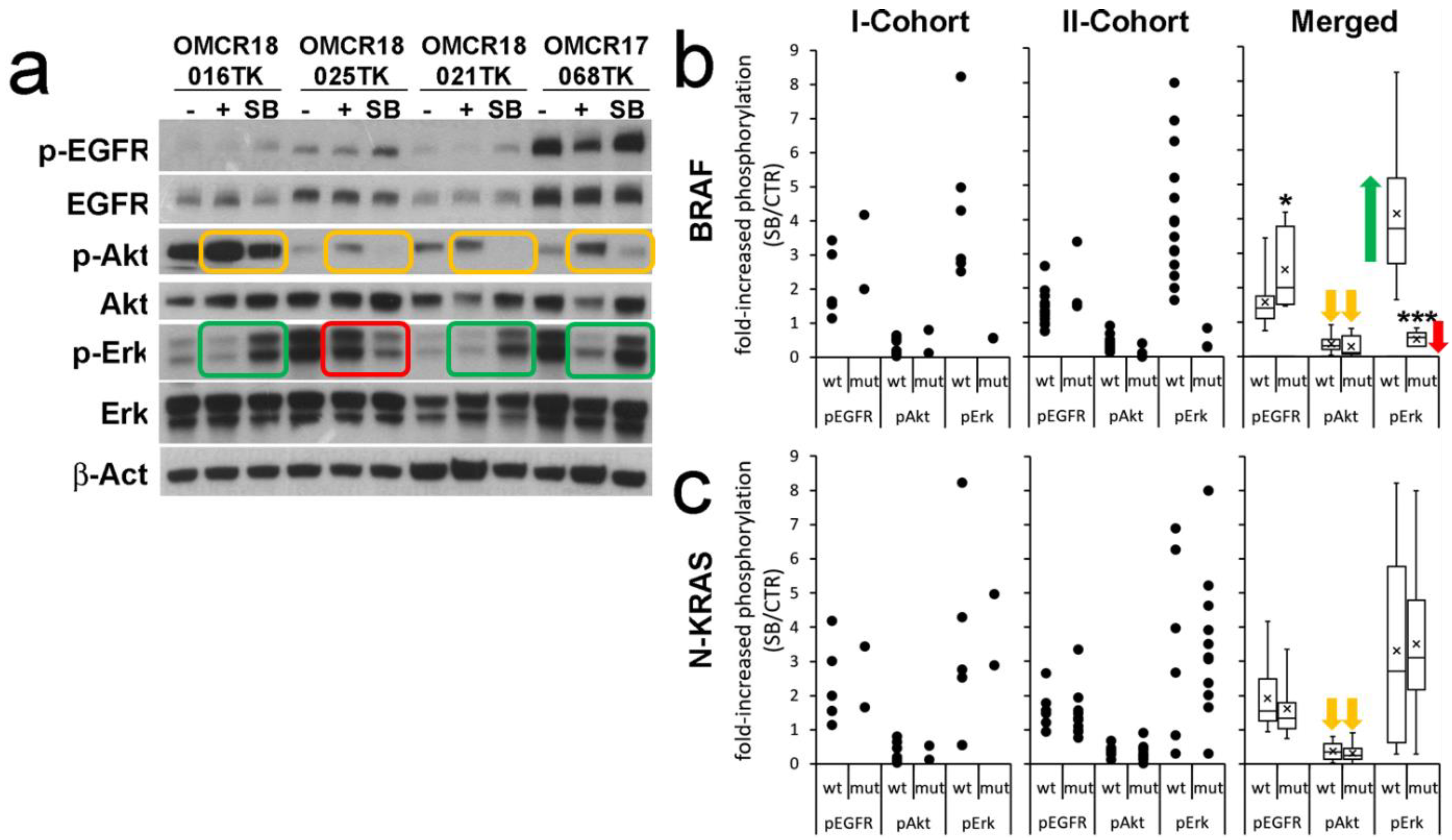 Cells 12 00664 g002 Cells 12 00664 g002