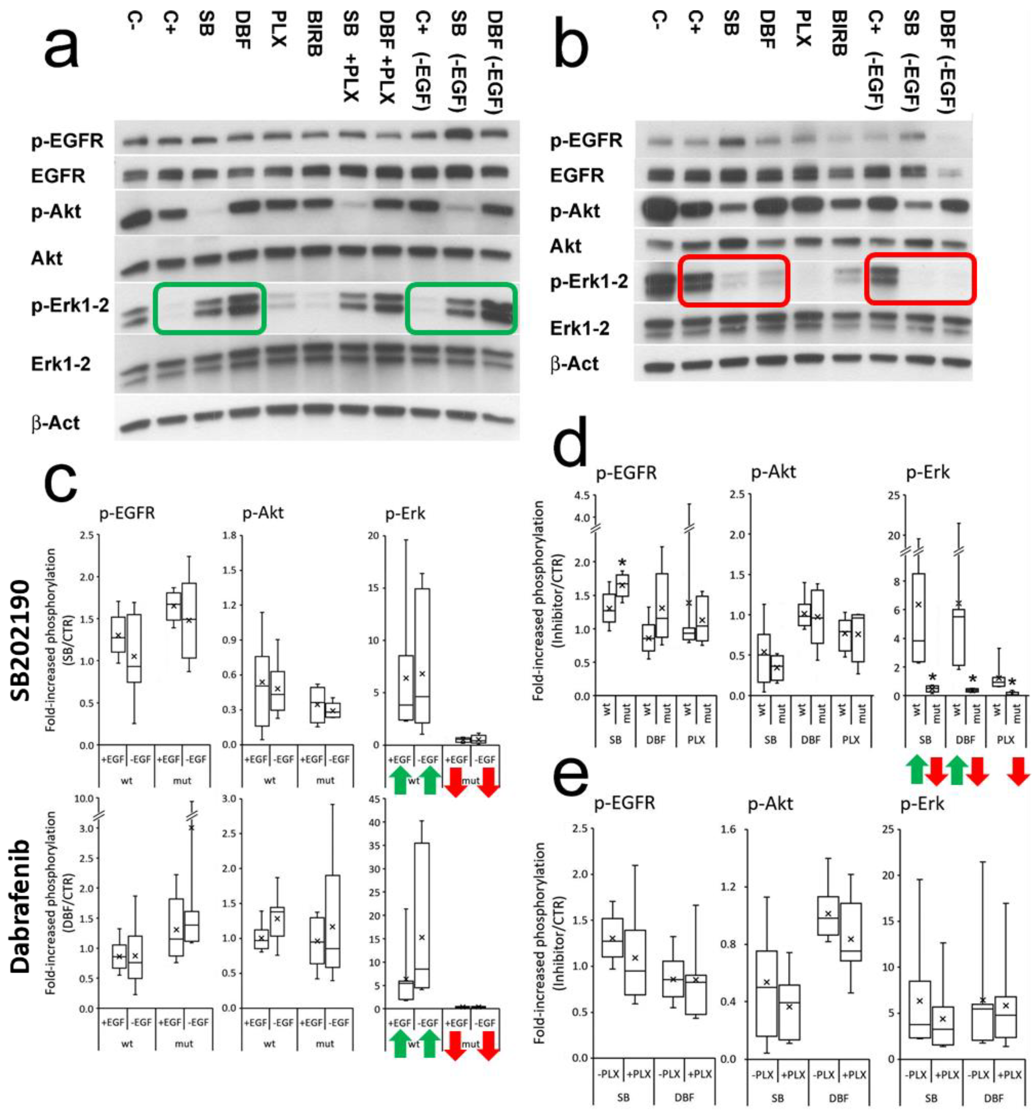 Cells 12 00664 g003 Cells 12 00664 g003