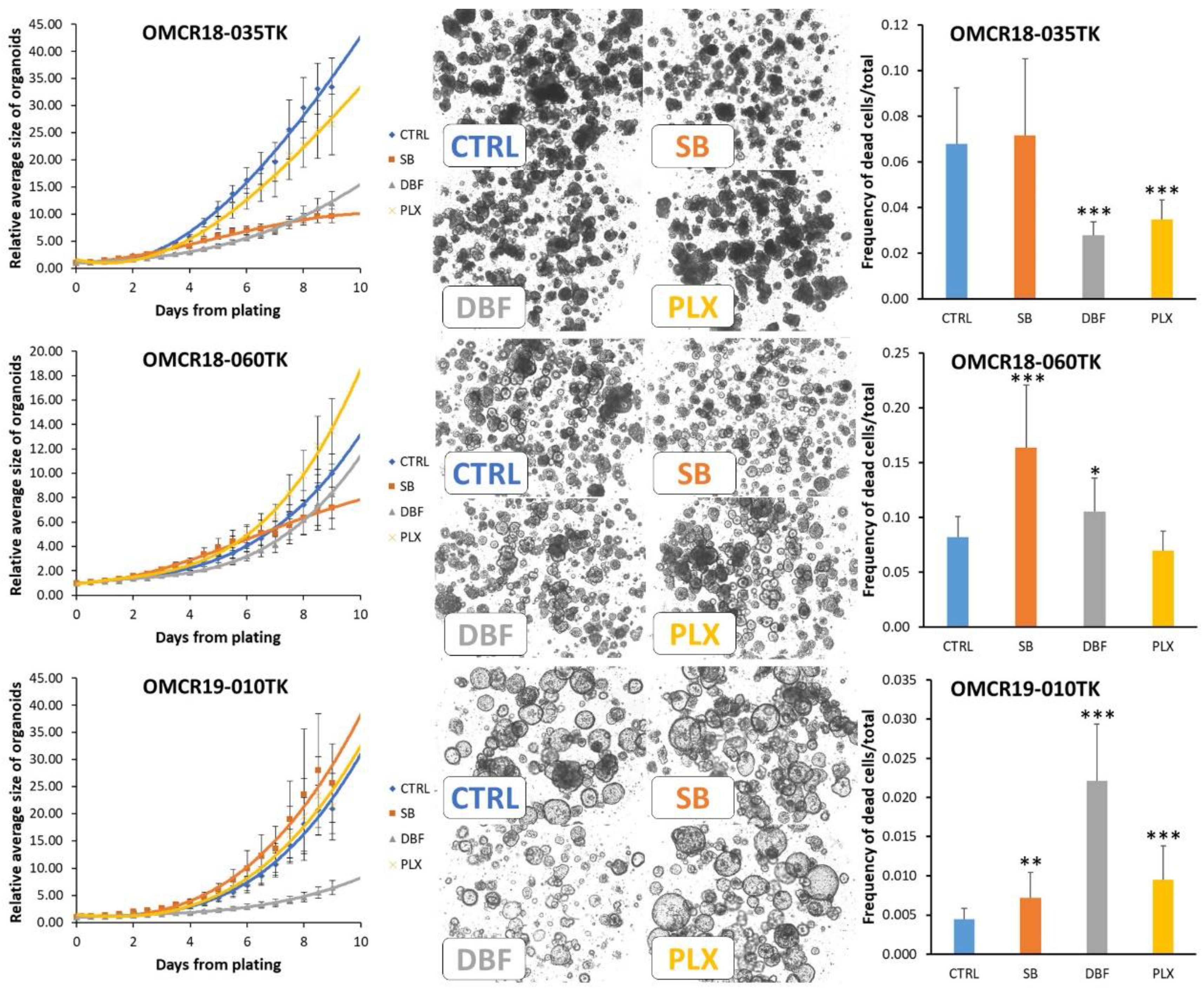 Cells 12 00664 g005 Cells 12 00664 g005