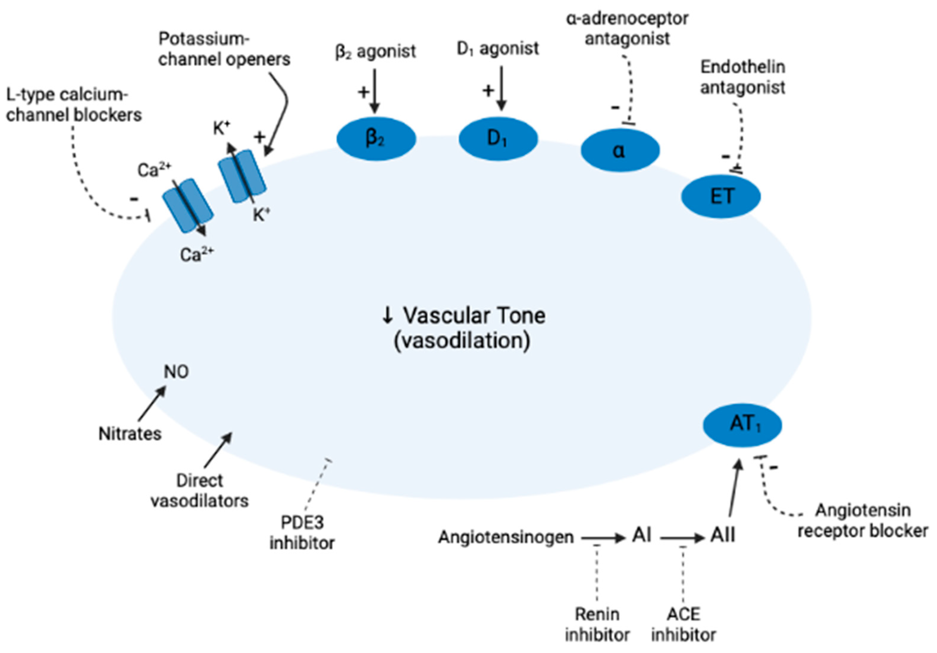 Cells 12 00671 g001 Cells 12 00671 g001
